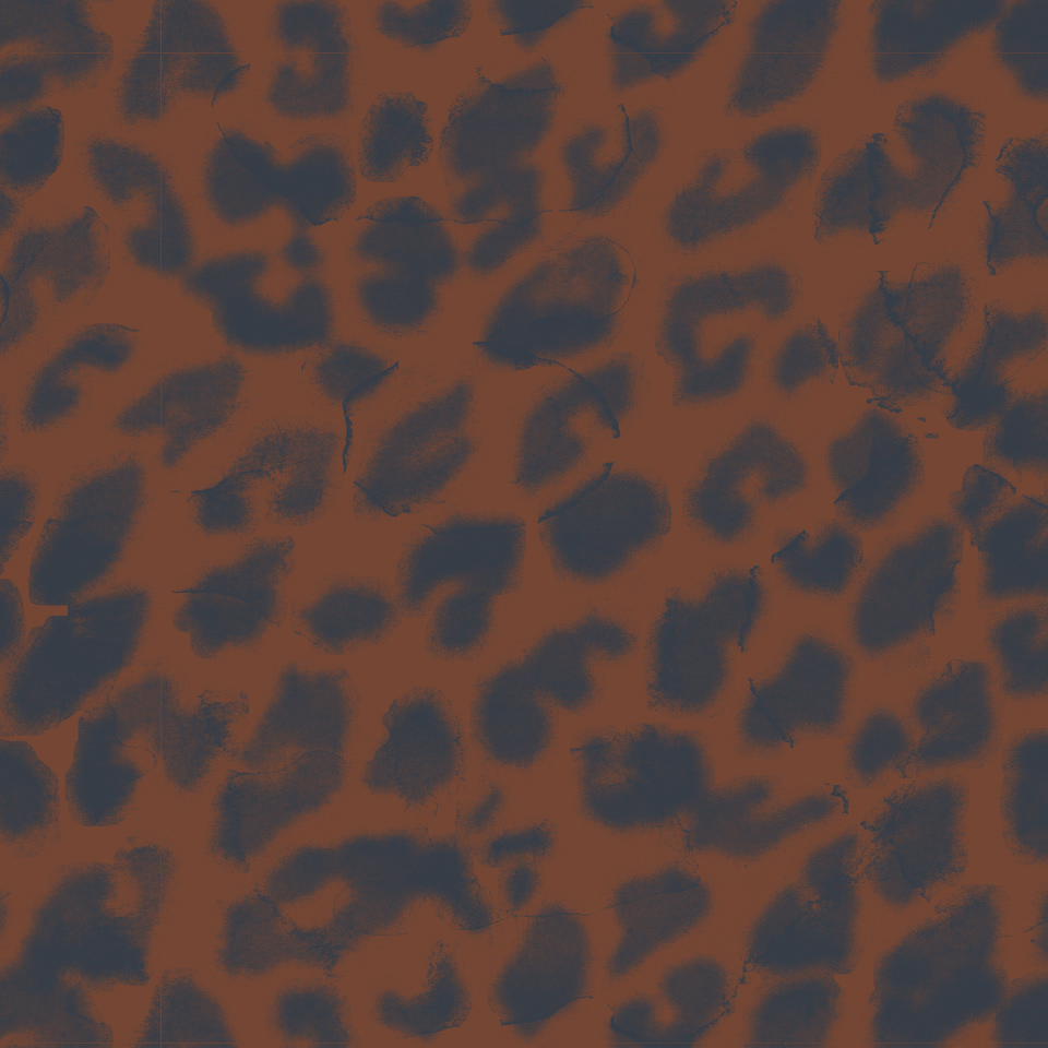 PAINTED LEO / MEN / CAMEL ACTIVE