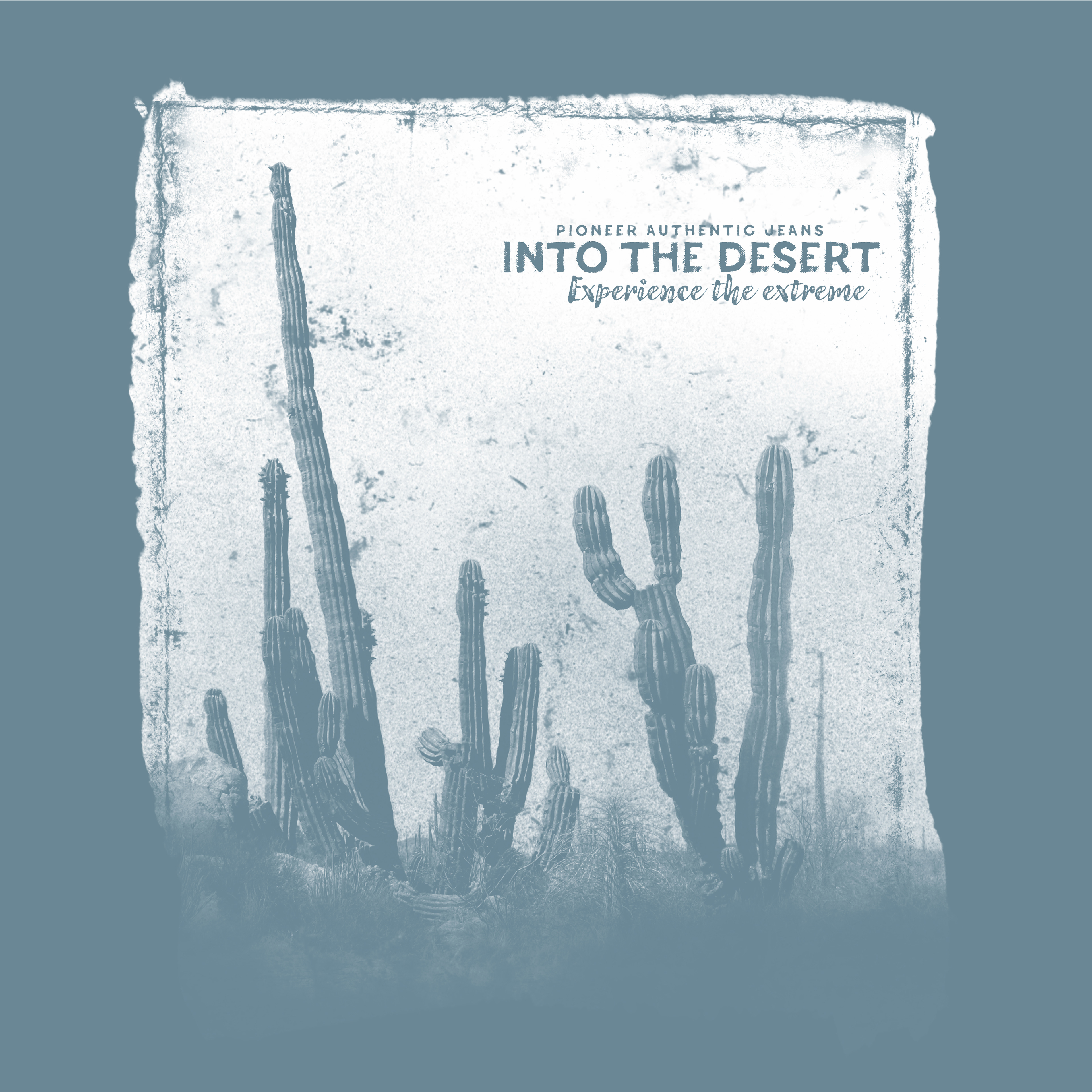 INTO THE DESERT / MEN / PIONEER JEANSWEAR