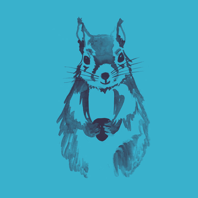 WATERCOLOR SQUIRREL / NIGHTWEAR / OTTO