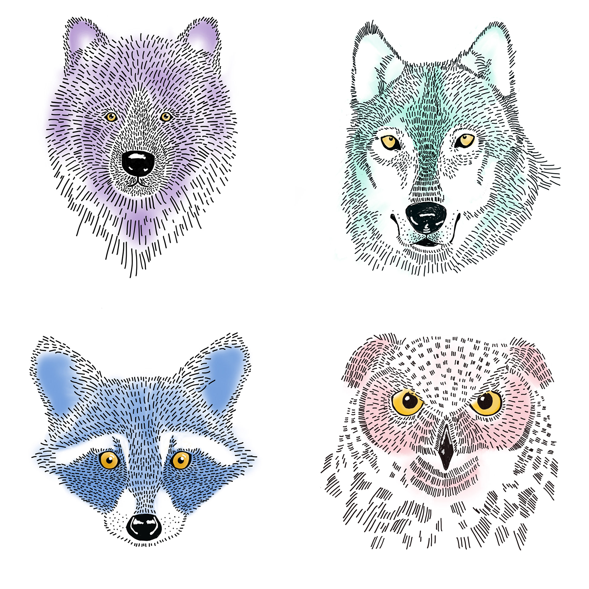 WILD ANIMALS / FREE WORK