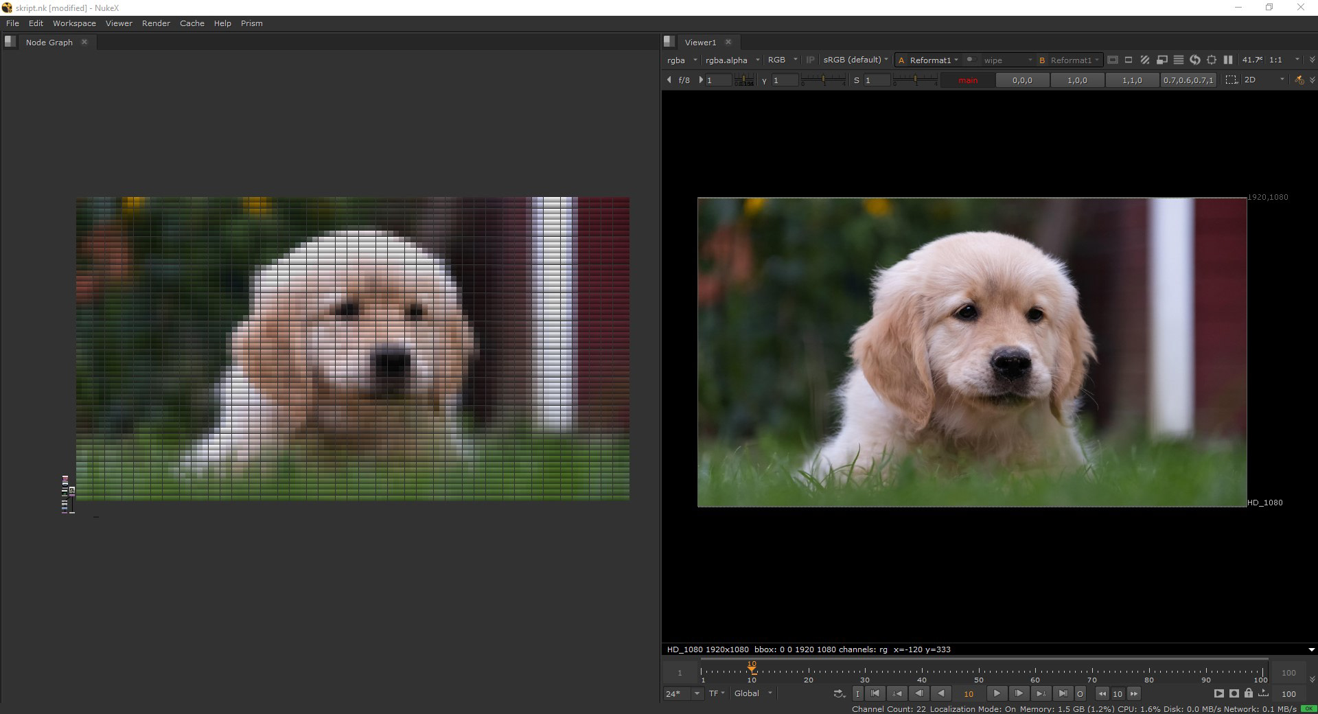 A handsome Dog And its node counterpart