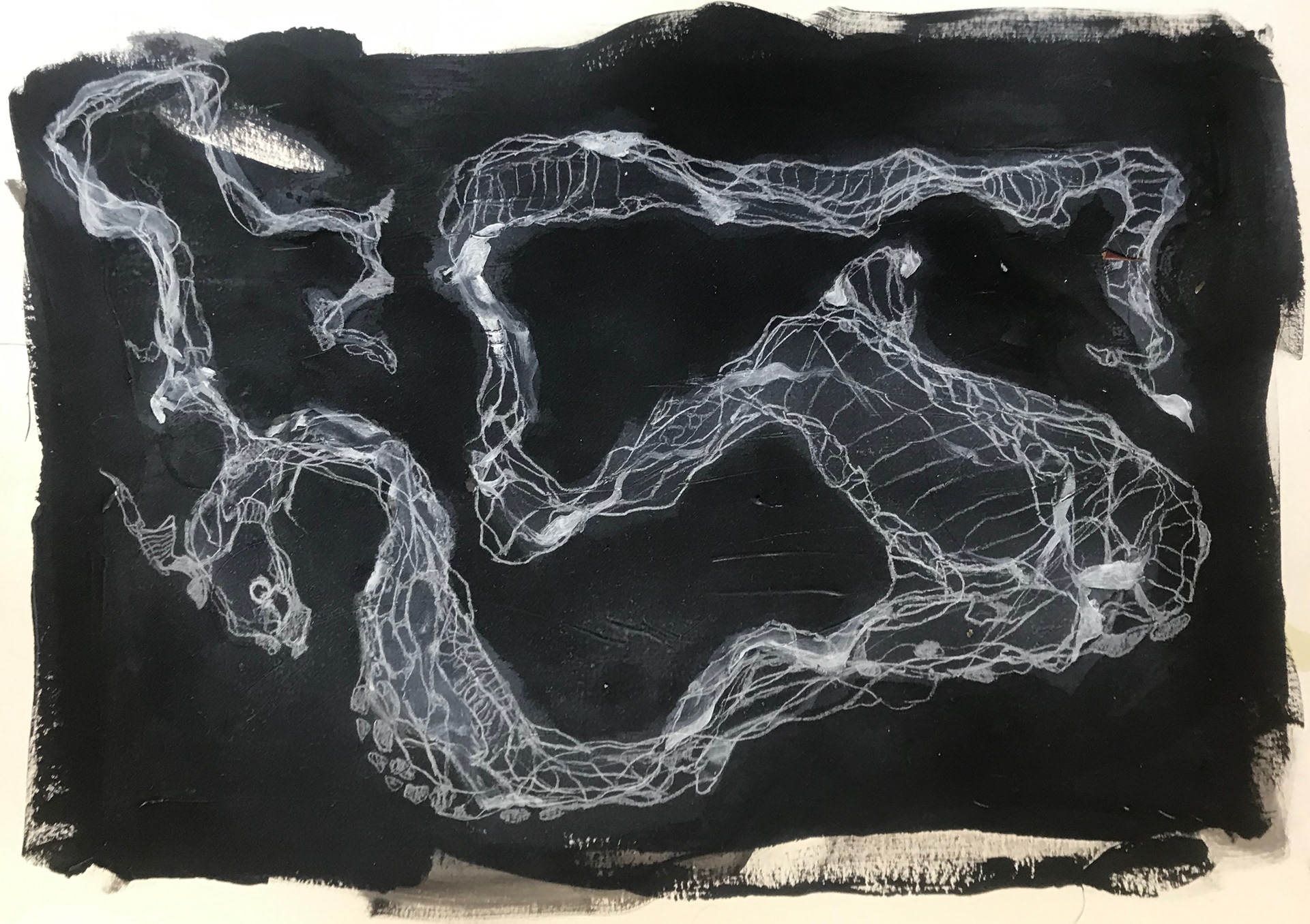 Exo Snake Skin Study II Acrylic Ink and Chalk on Paper 22x30"