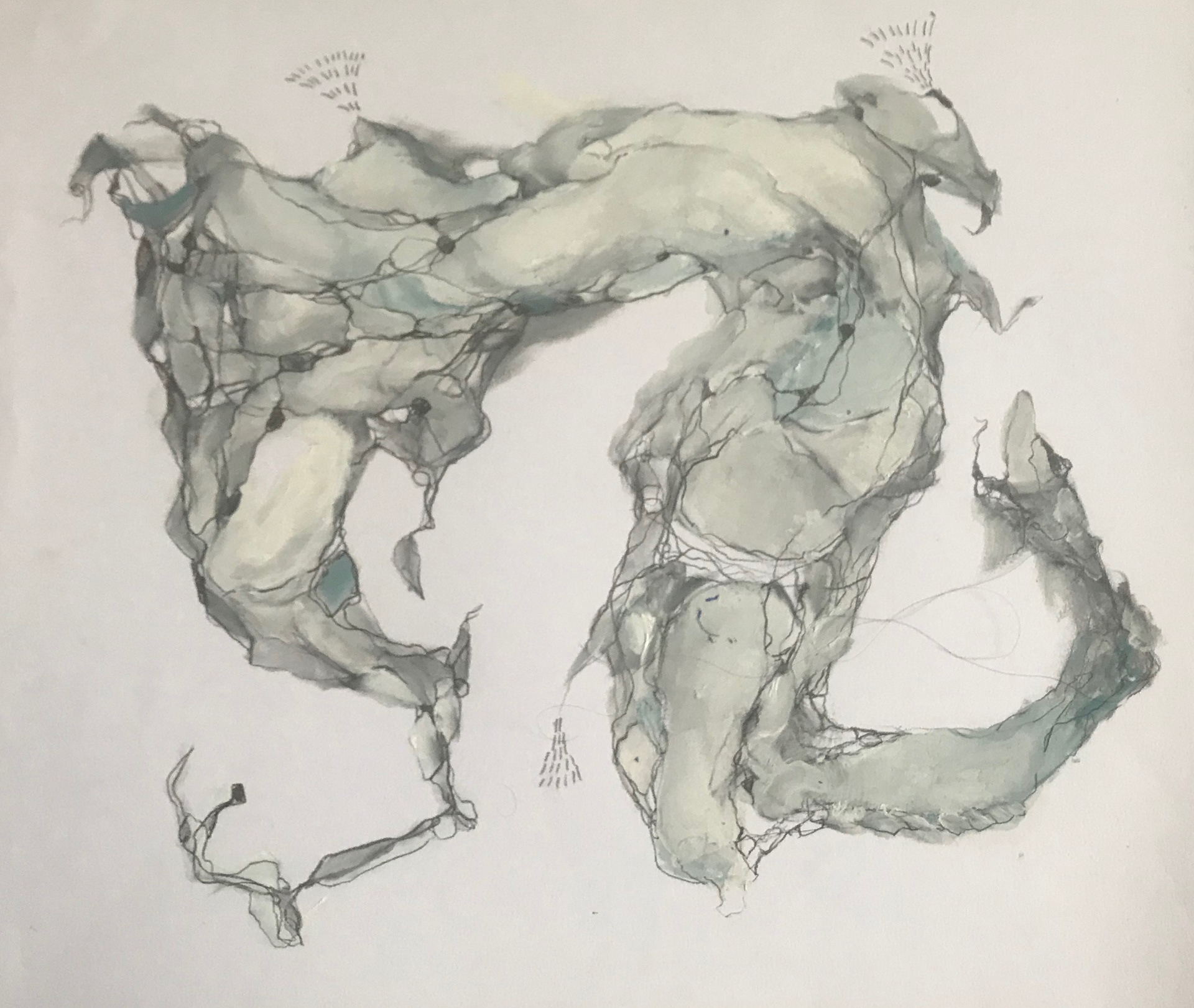 Oceane