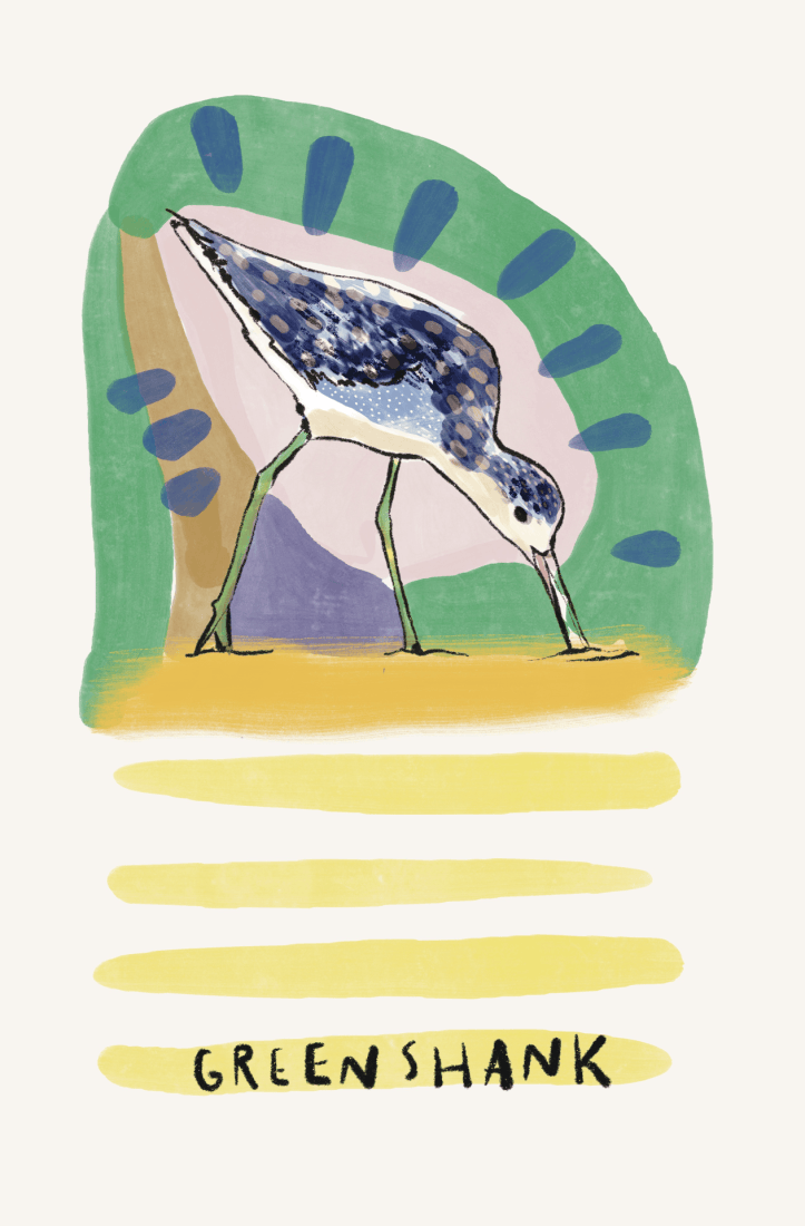 Migratory Birds for Refugee Action fundraiser - Digital Illustrations