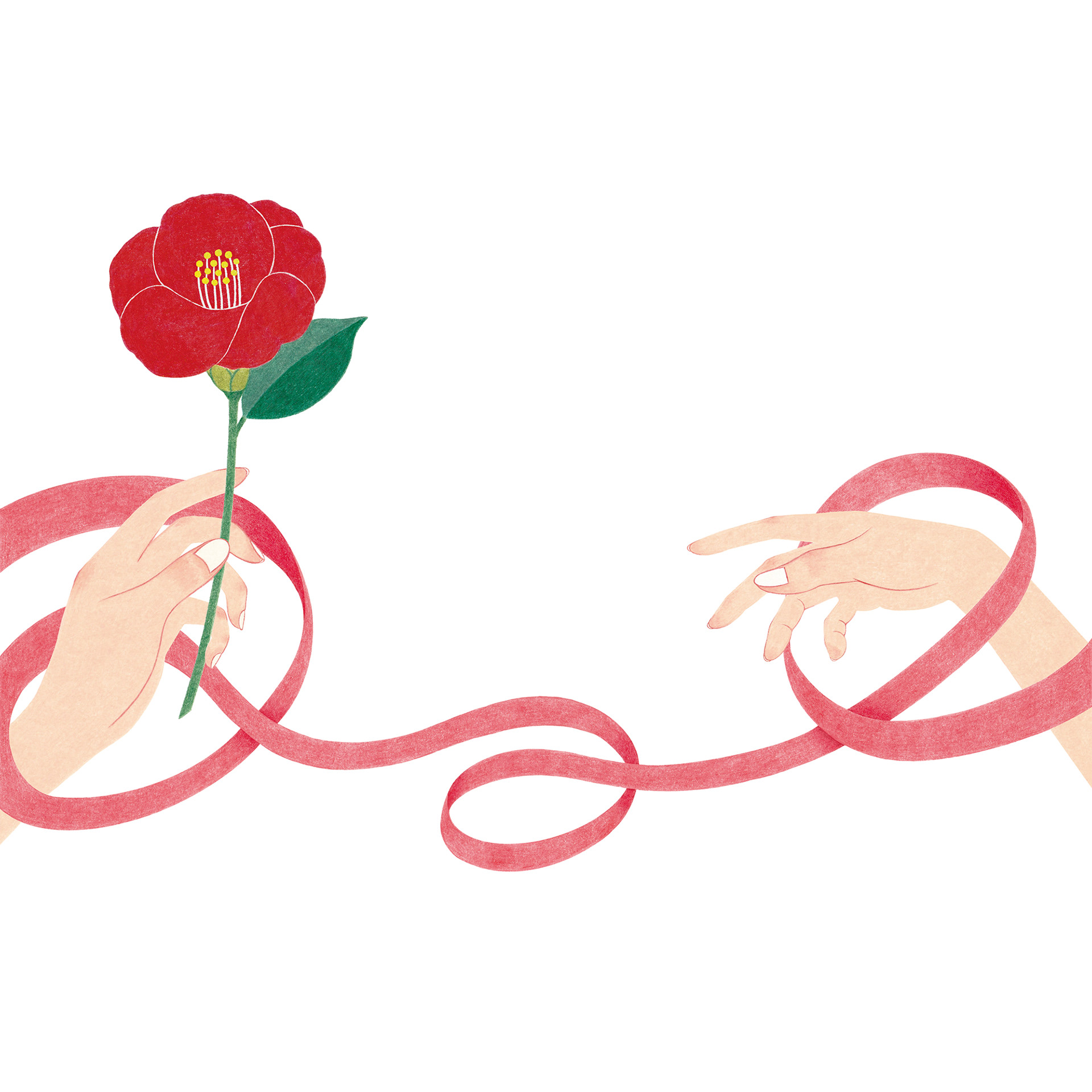 株式会社ツバキ薬粧様 挨拶状挿絵イラスト