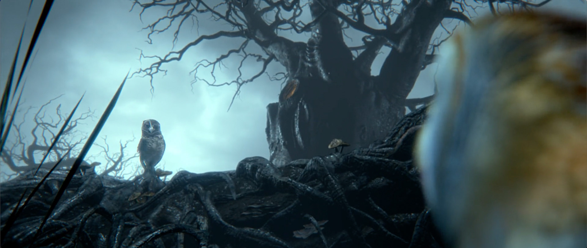 Environment Modeling and Surfacing