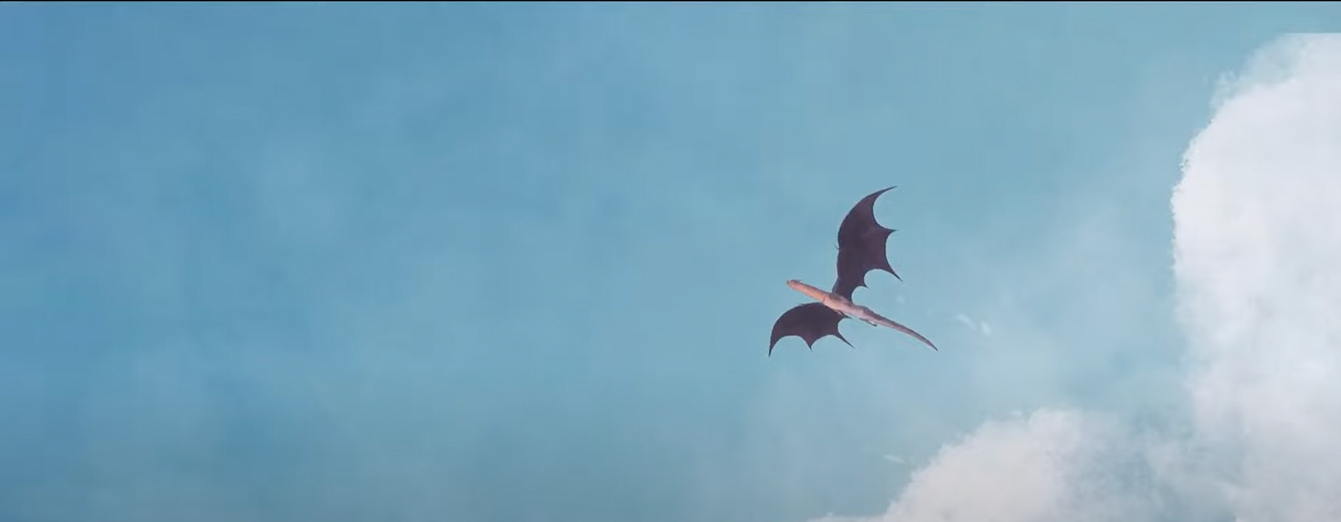 Screen Shot from the movie