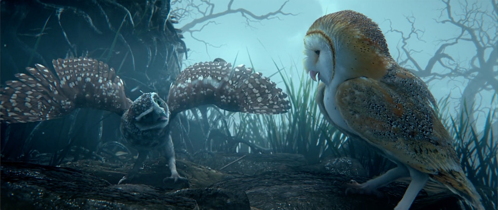 Environment Modeling and Surfacing