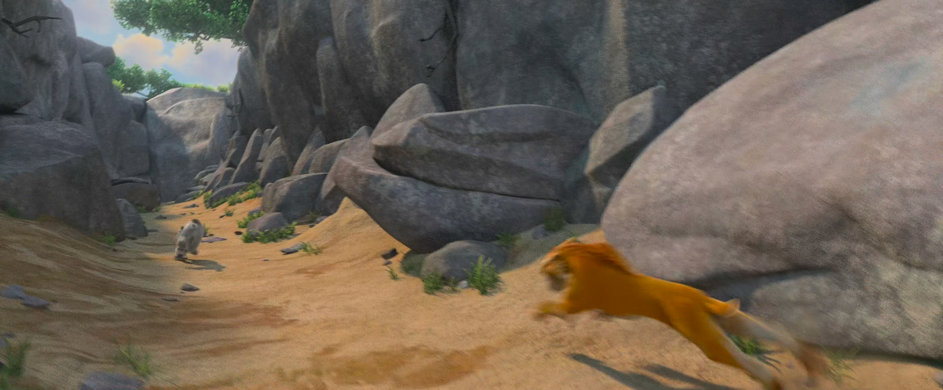 Environment Modeling