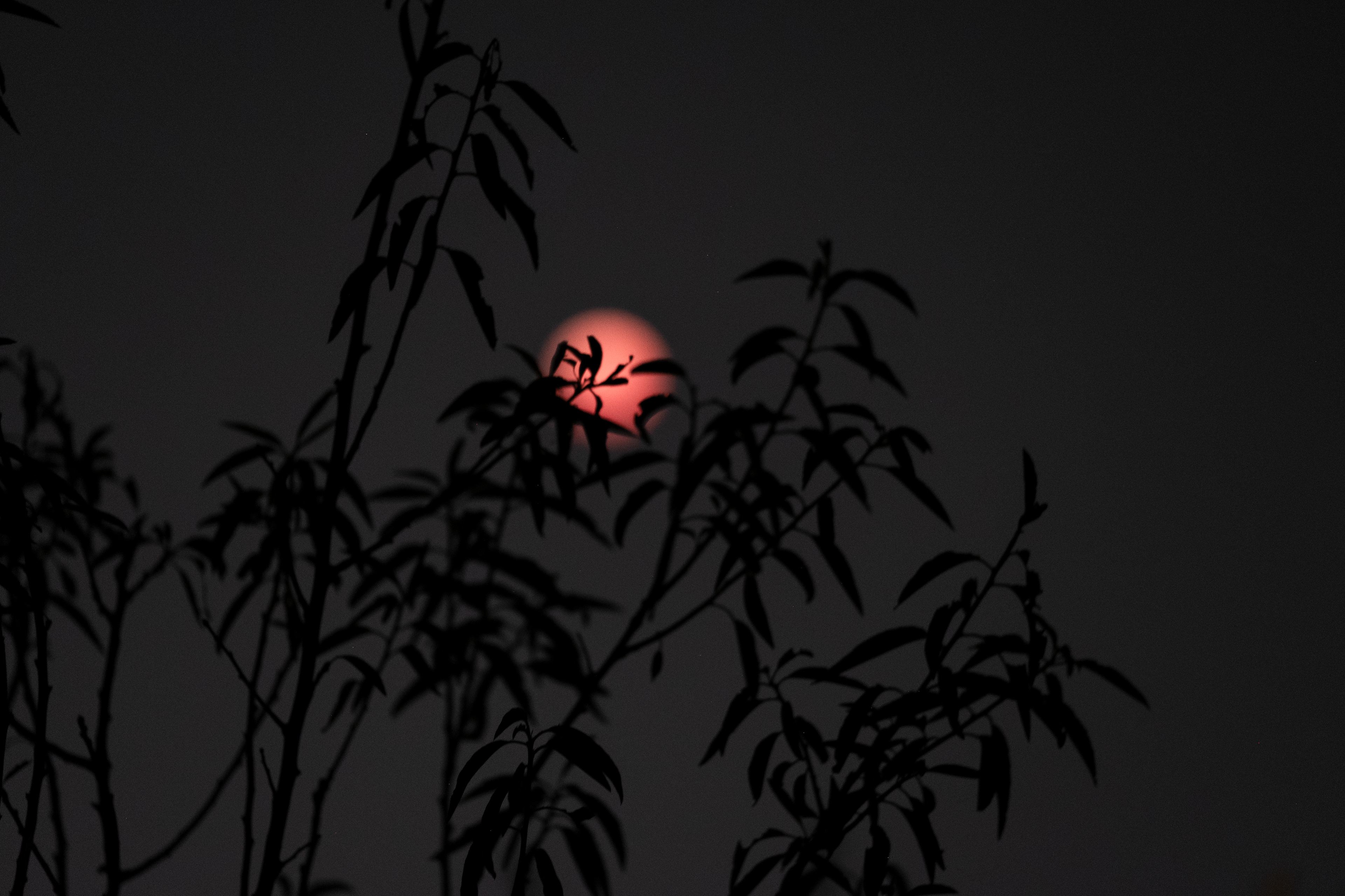 July 2018 – Lunar eclipse