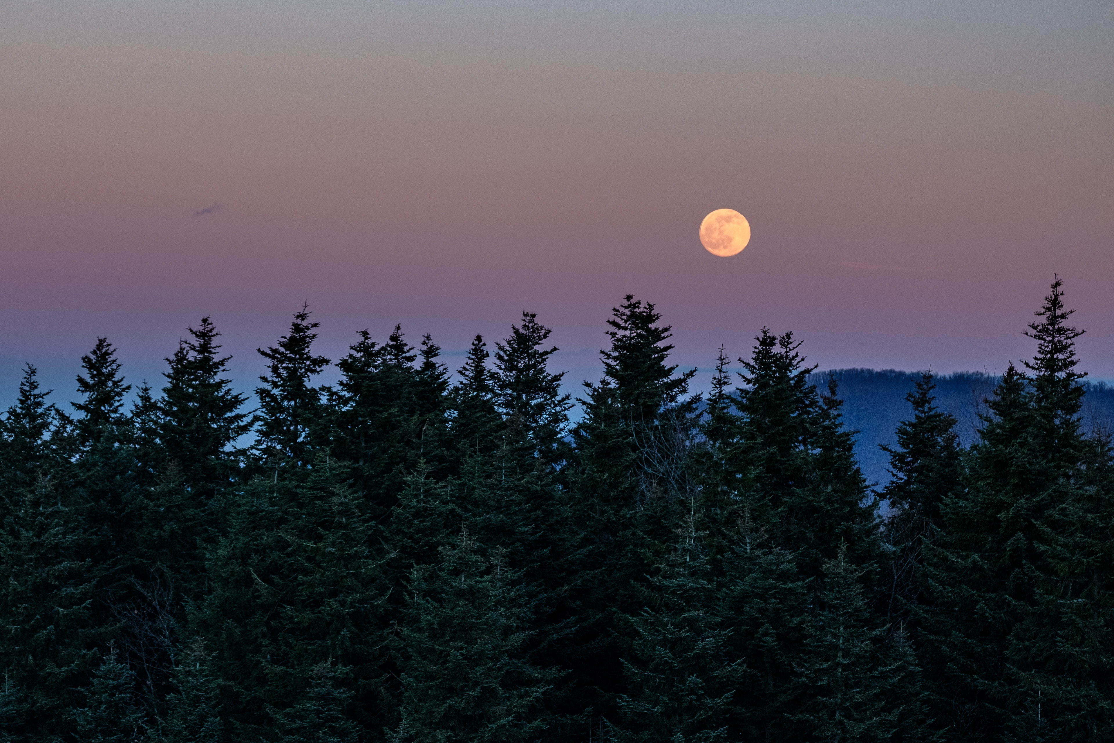 January 2021 – Wolf Moon