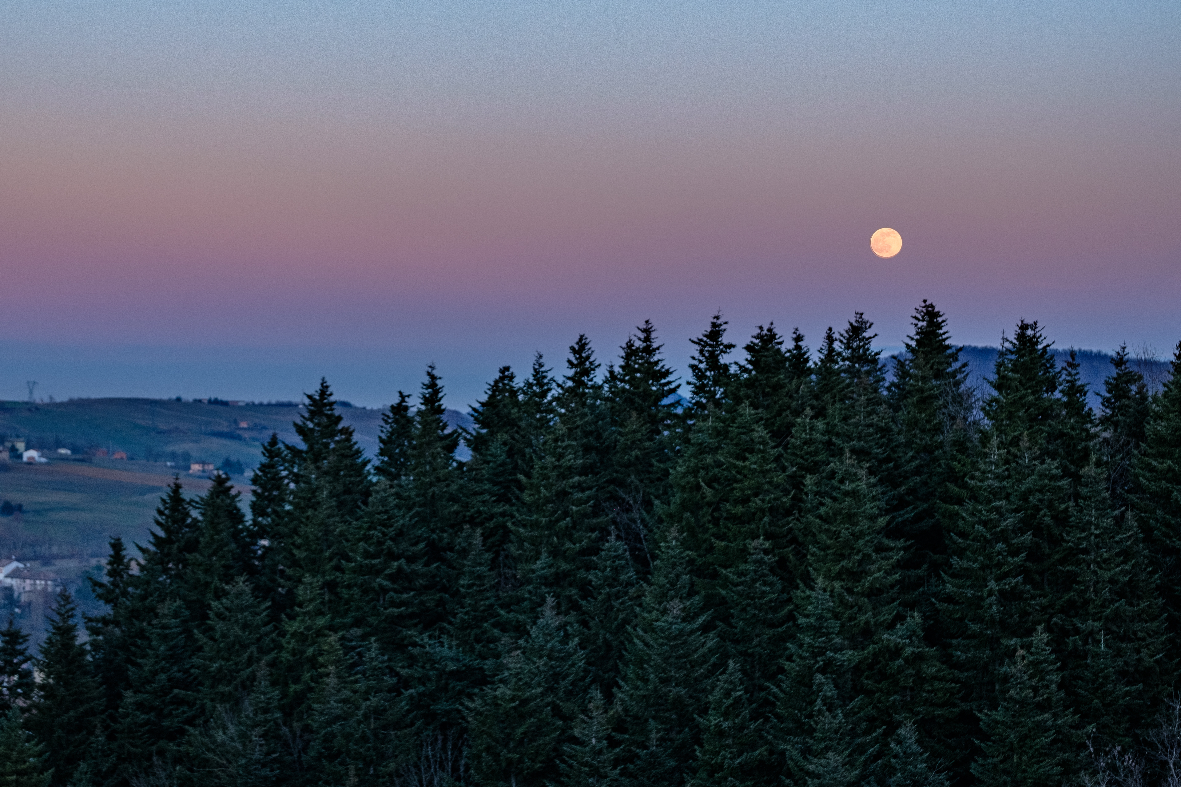 January 2021 – Wolf Moon