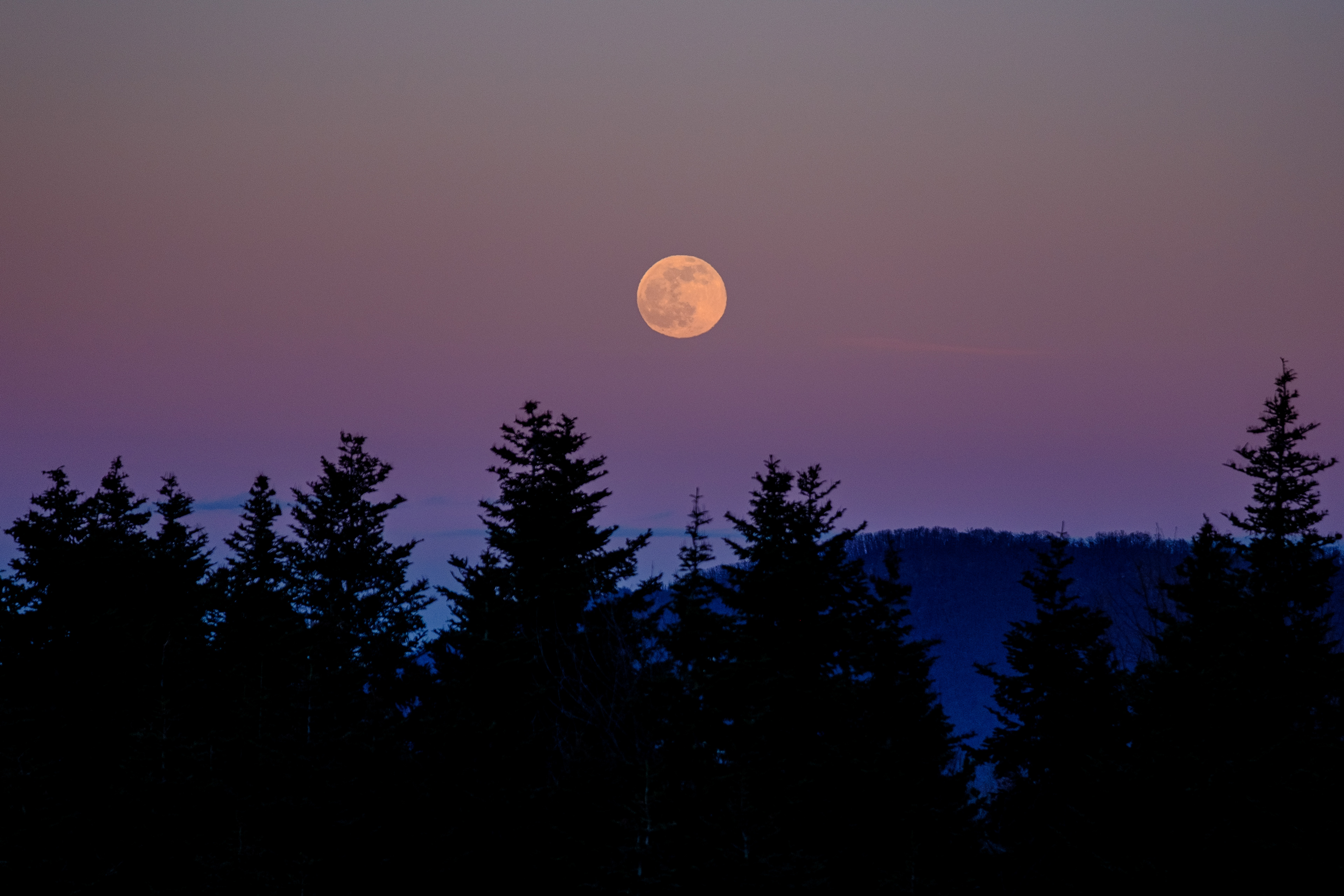 January 2021 – Wolf Moon