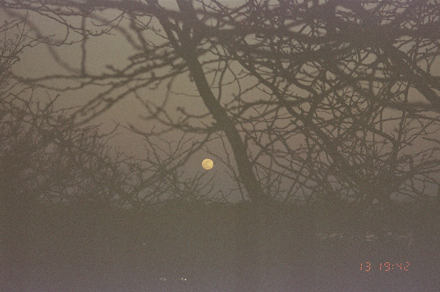 April 2025 (expired film)