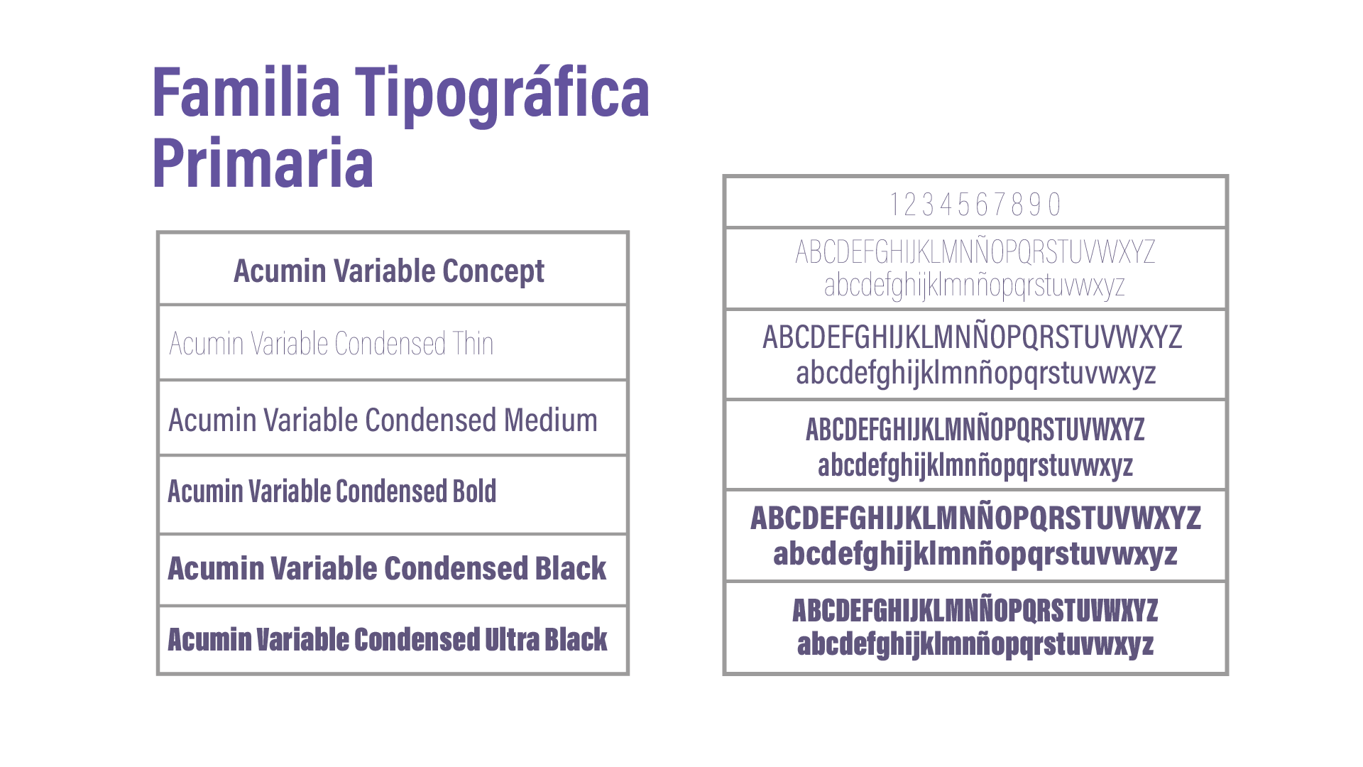 Familia Tipográfica Primaria