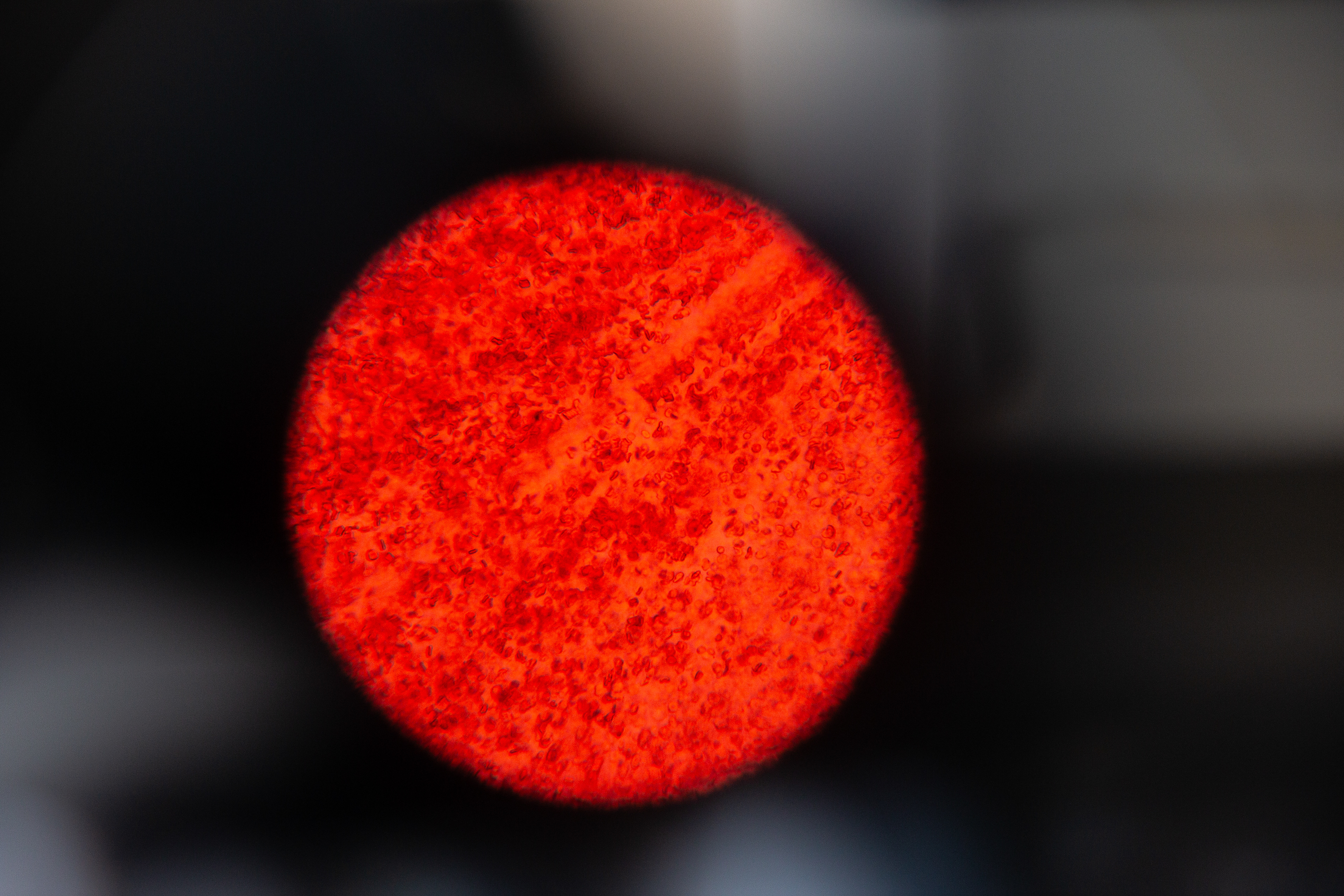 Menstrual Blood 100x