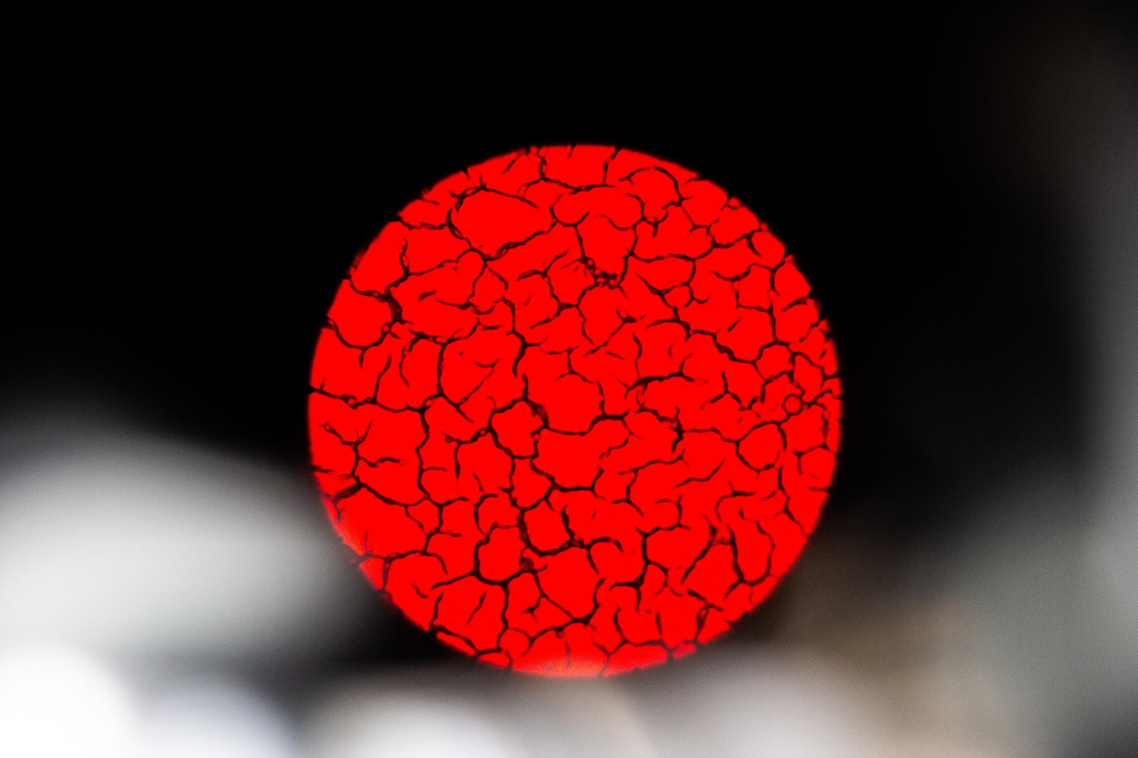 Menstrual Blood 400x