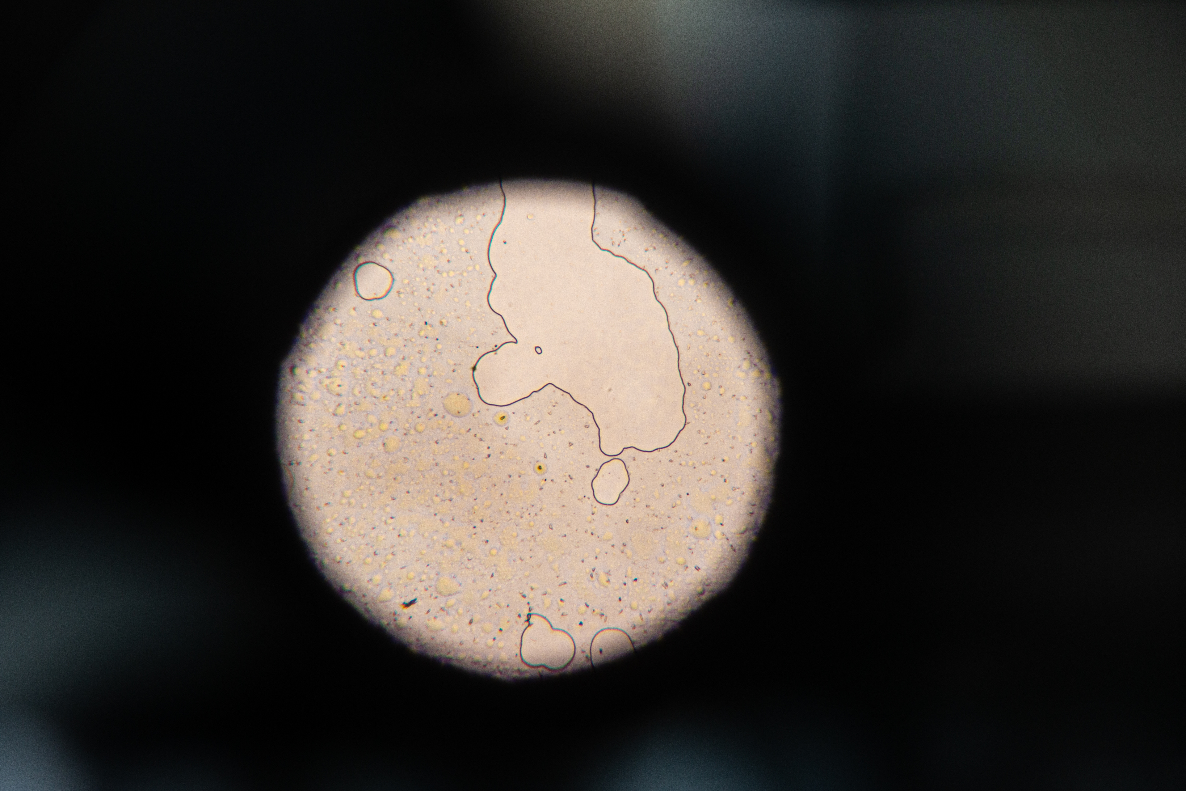 Menstrual Blood 100x