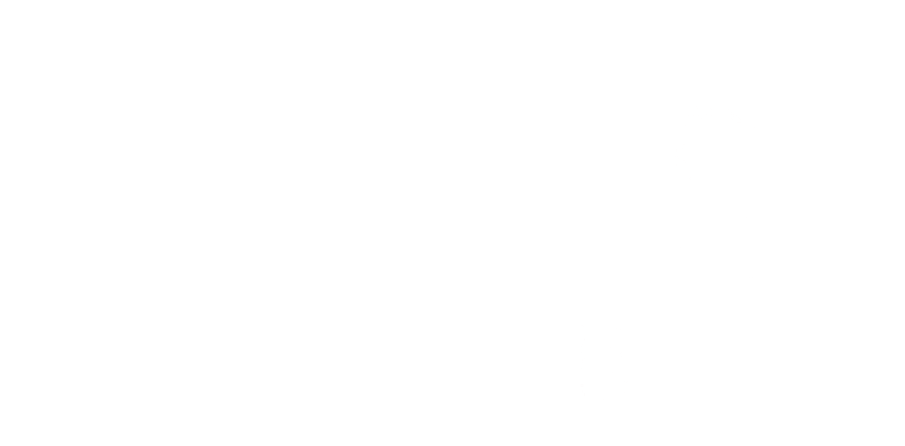 Ann's media 