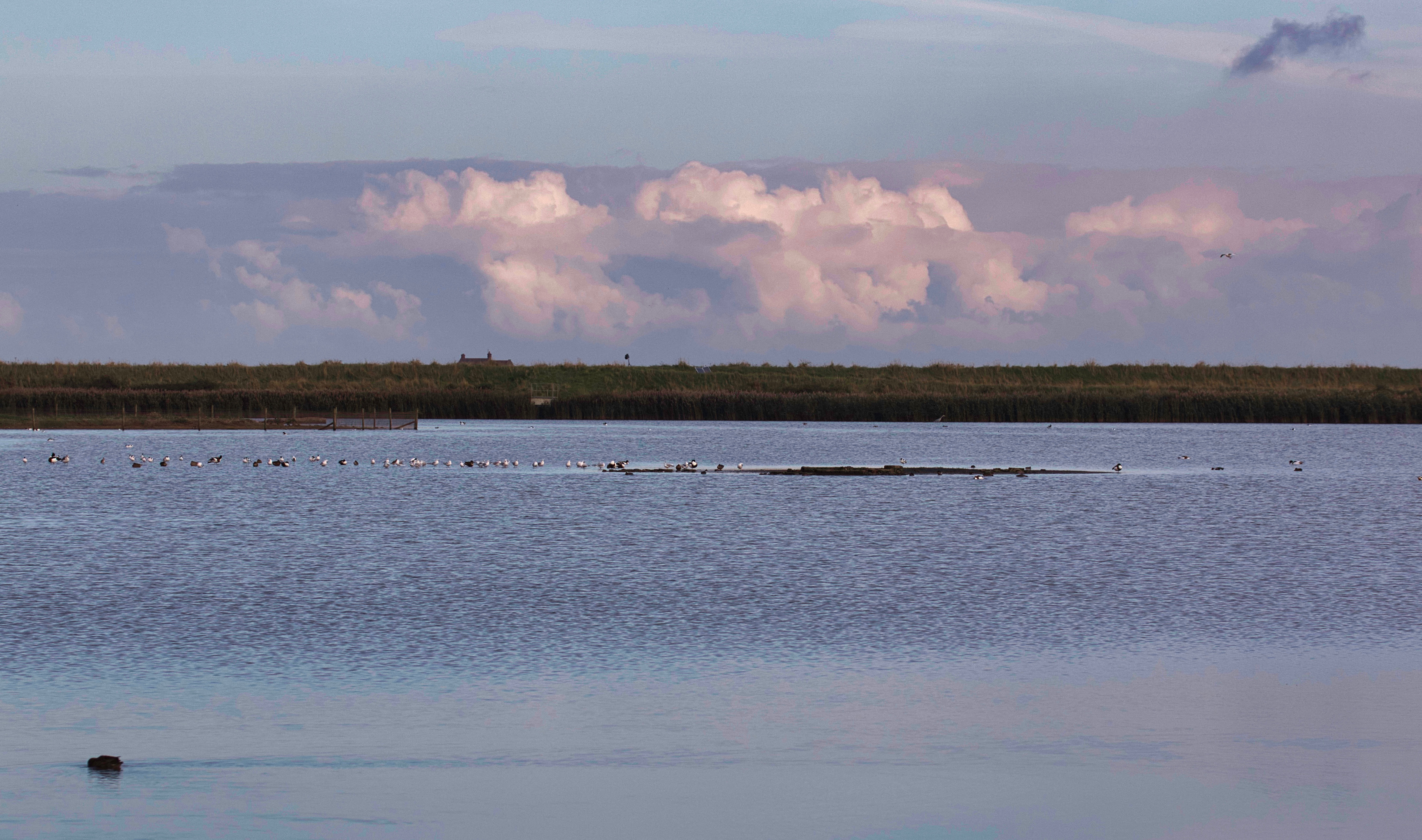 RSPB Titchwell Marsh