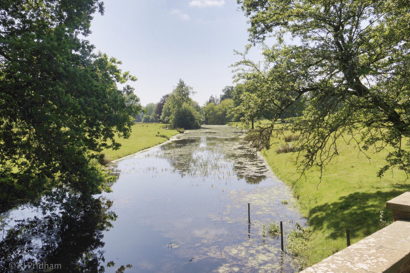 Water Meadow 5