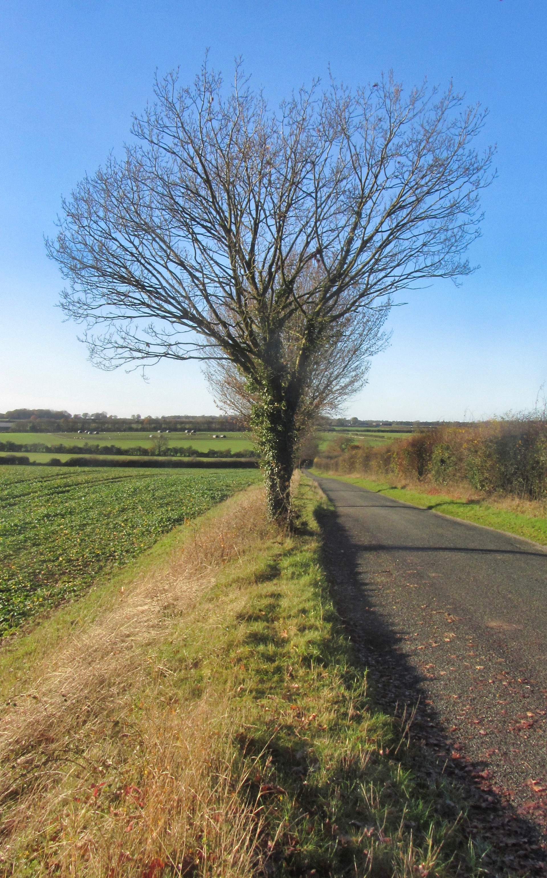 West Lane Mileham
