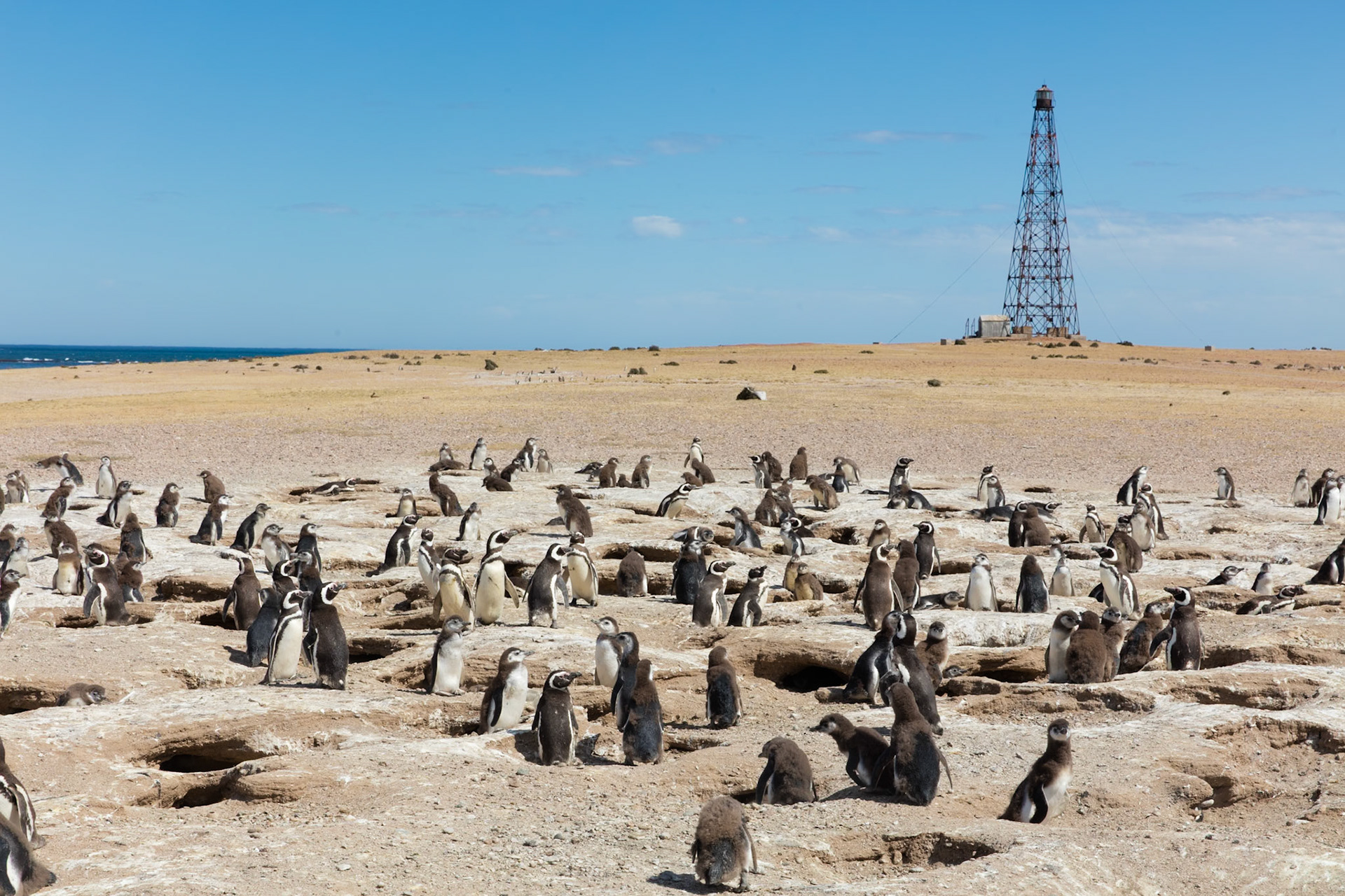 Santa Cruz