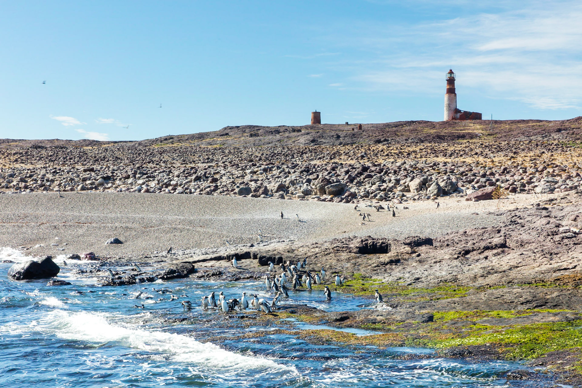 Santa Cruz