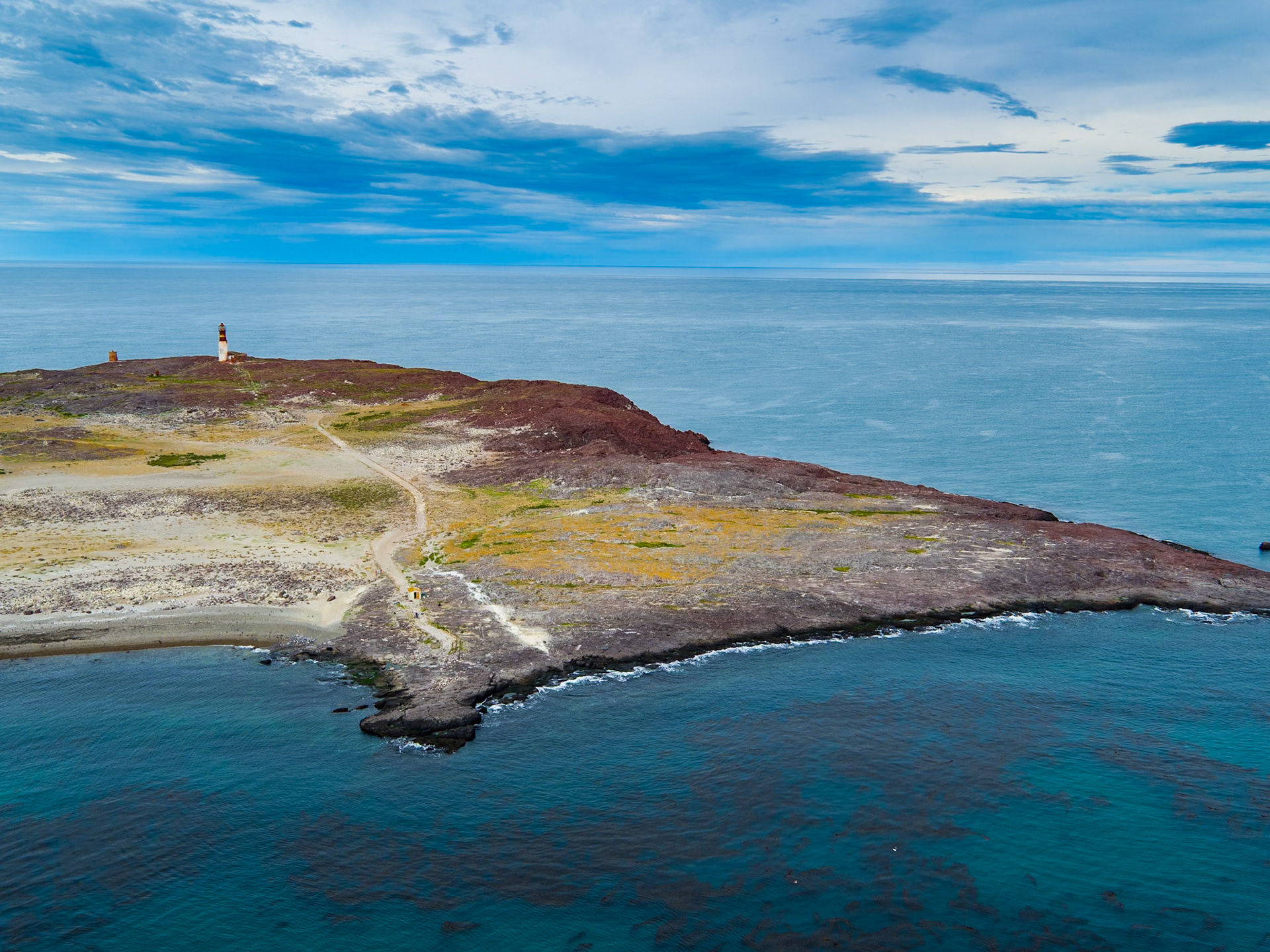 Santa Cruz