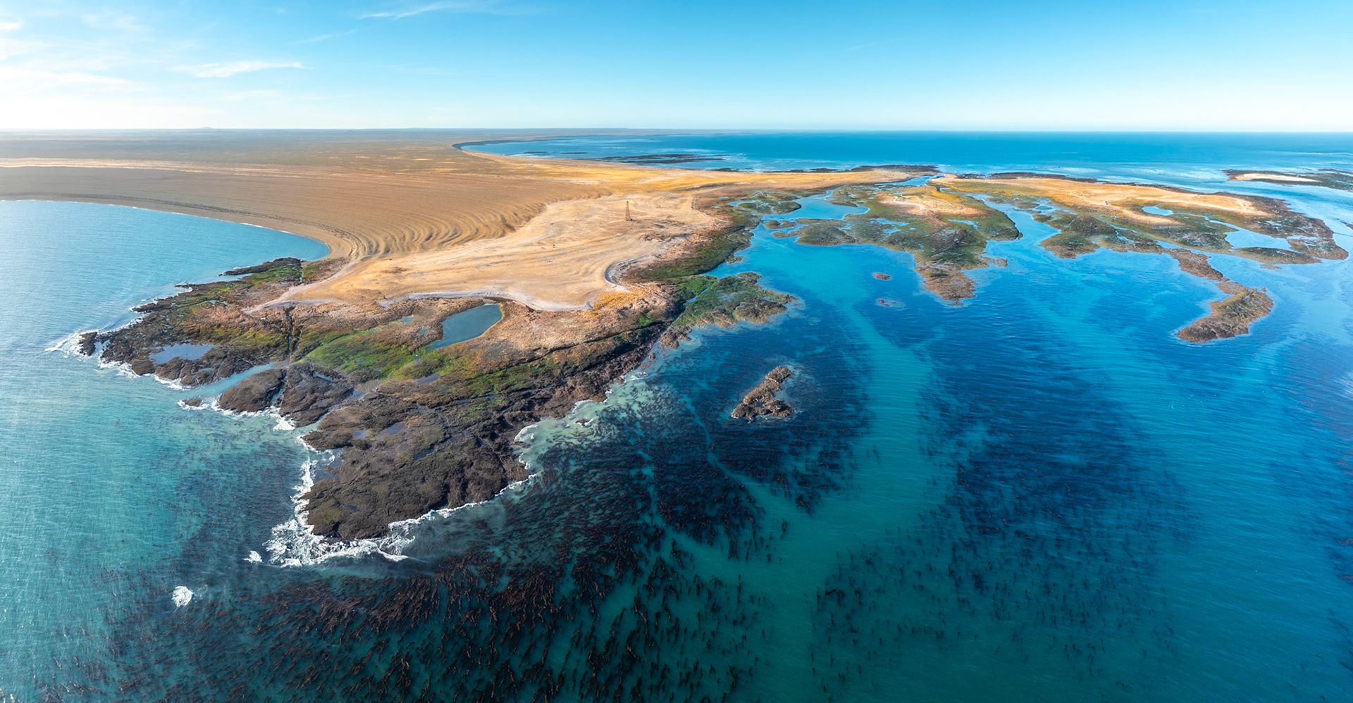Santa Cruz