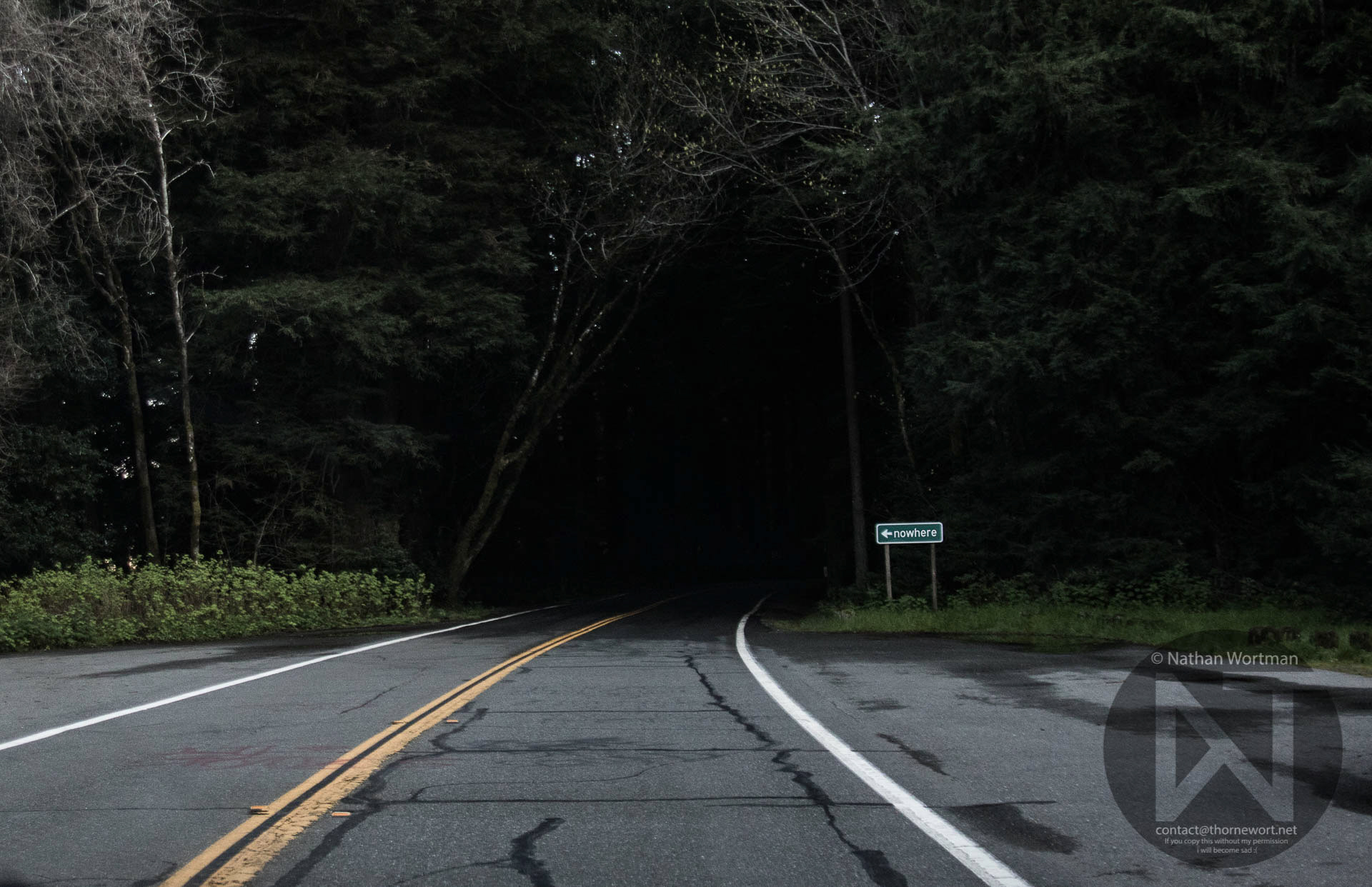 Road to Nowhere #3