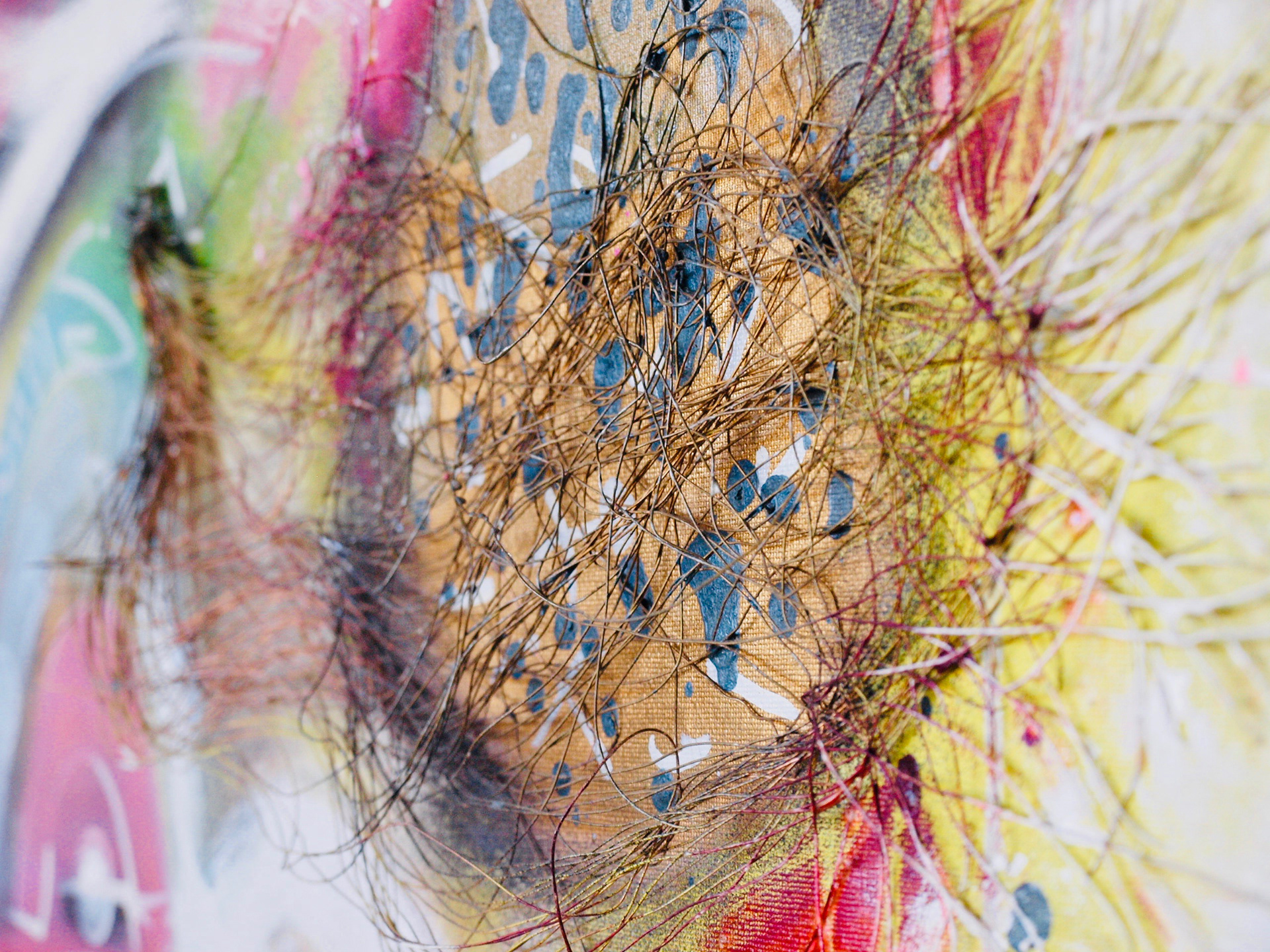 Canvas, Fecondis, Oil+ Acrylic+ Spray, 340x50 2017