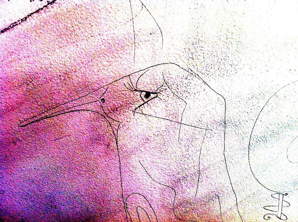 Sketch, Bird, Pencil 2013