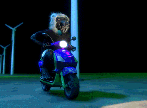 GIPHY, GiRello, 2014