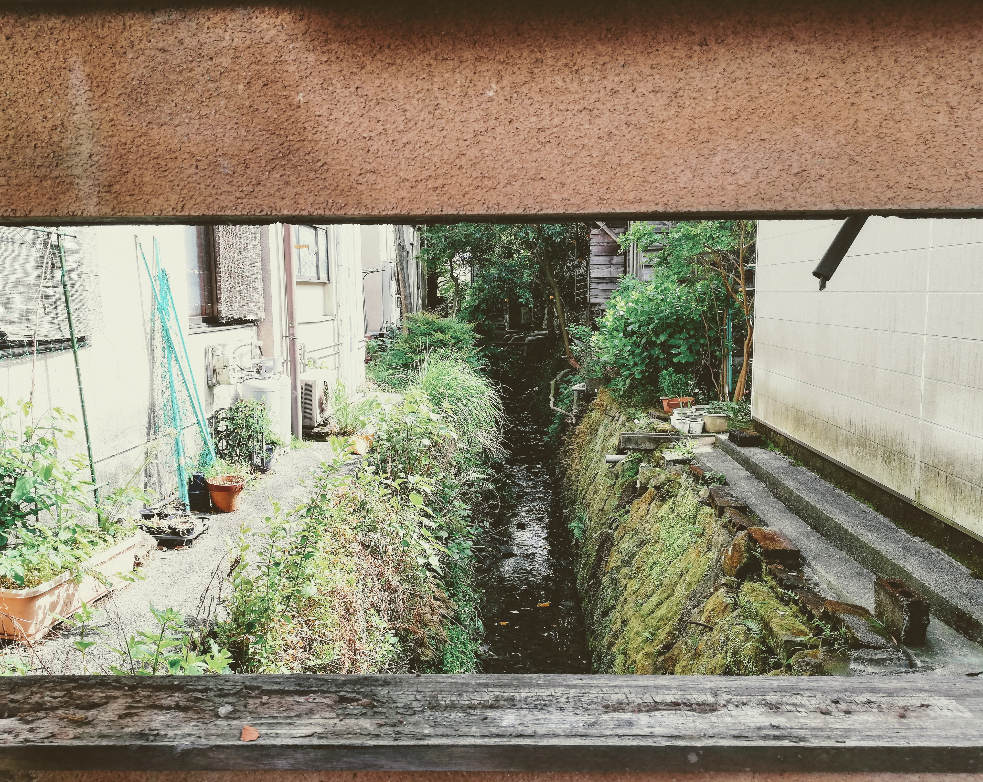 Izu, 2018
