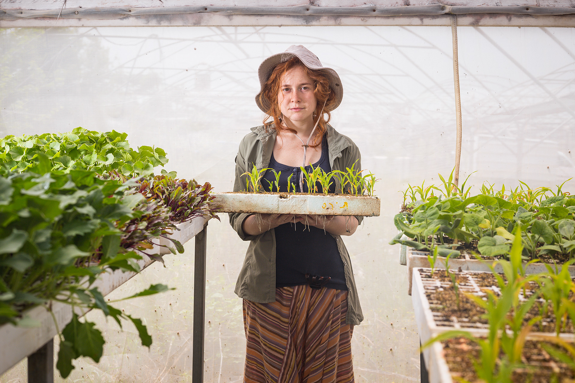 Farmers project