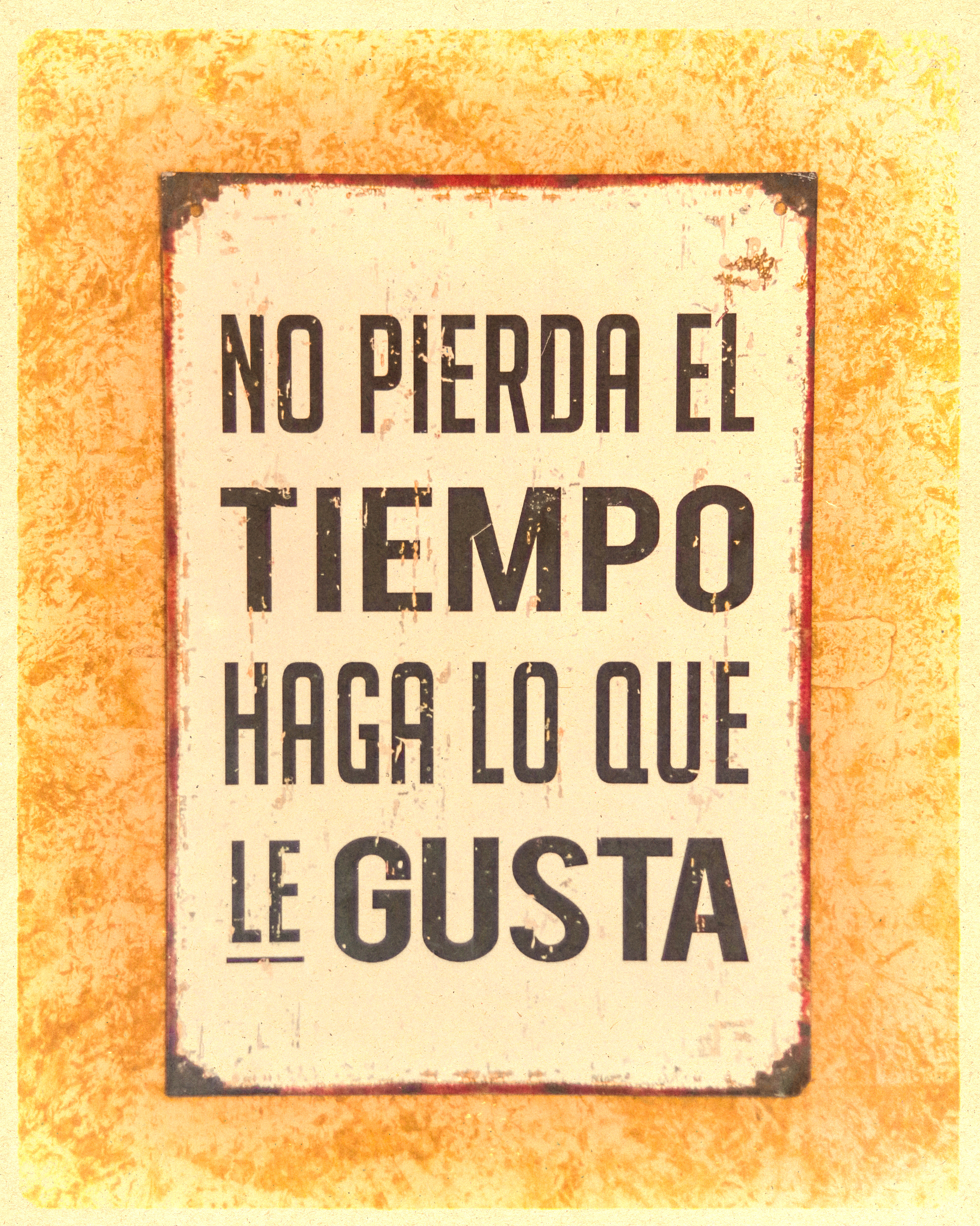 Bodegón Tras Cartón