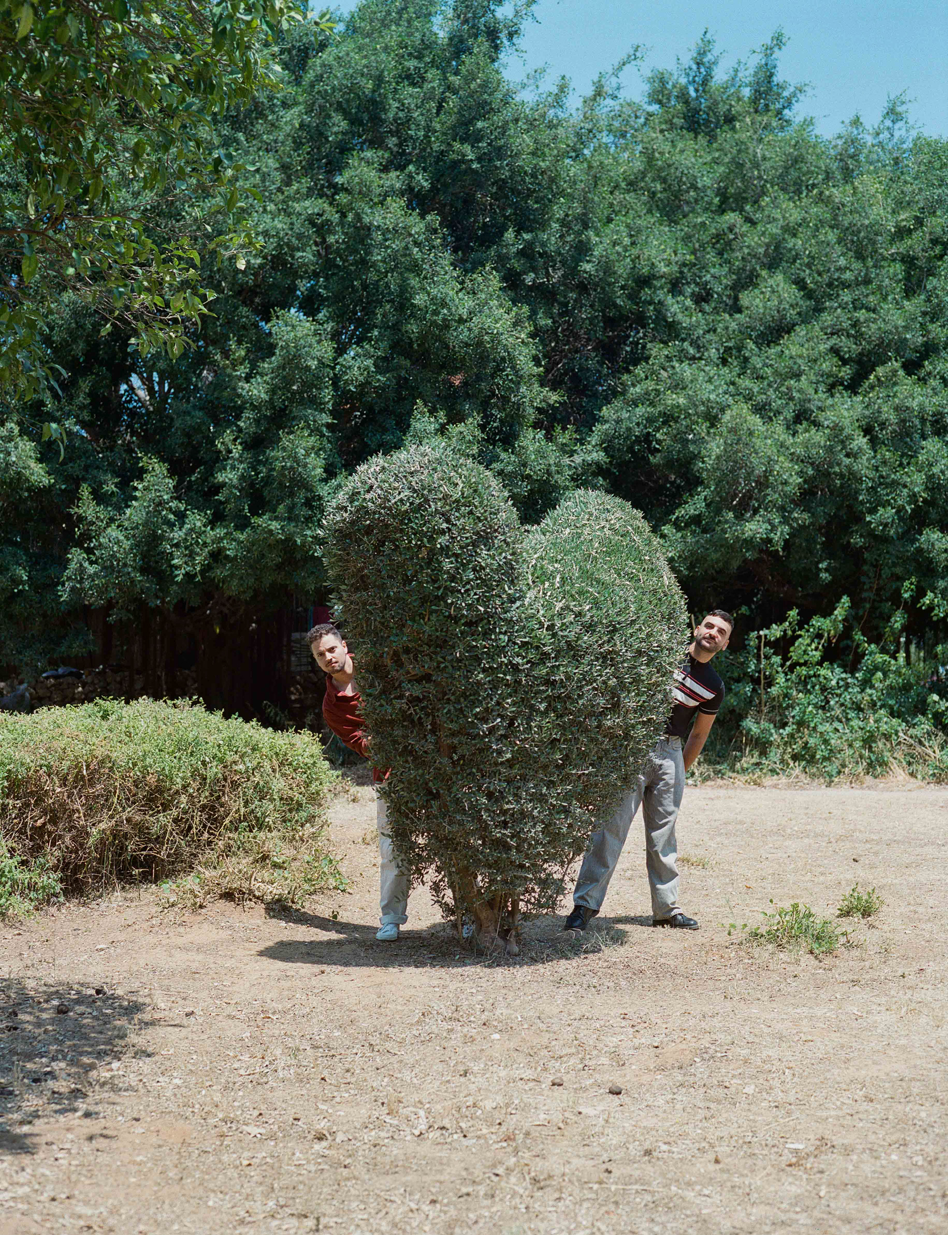 Chen & Matan