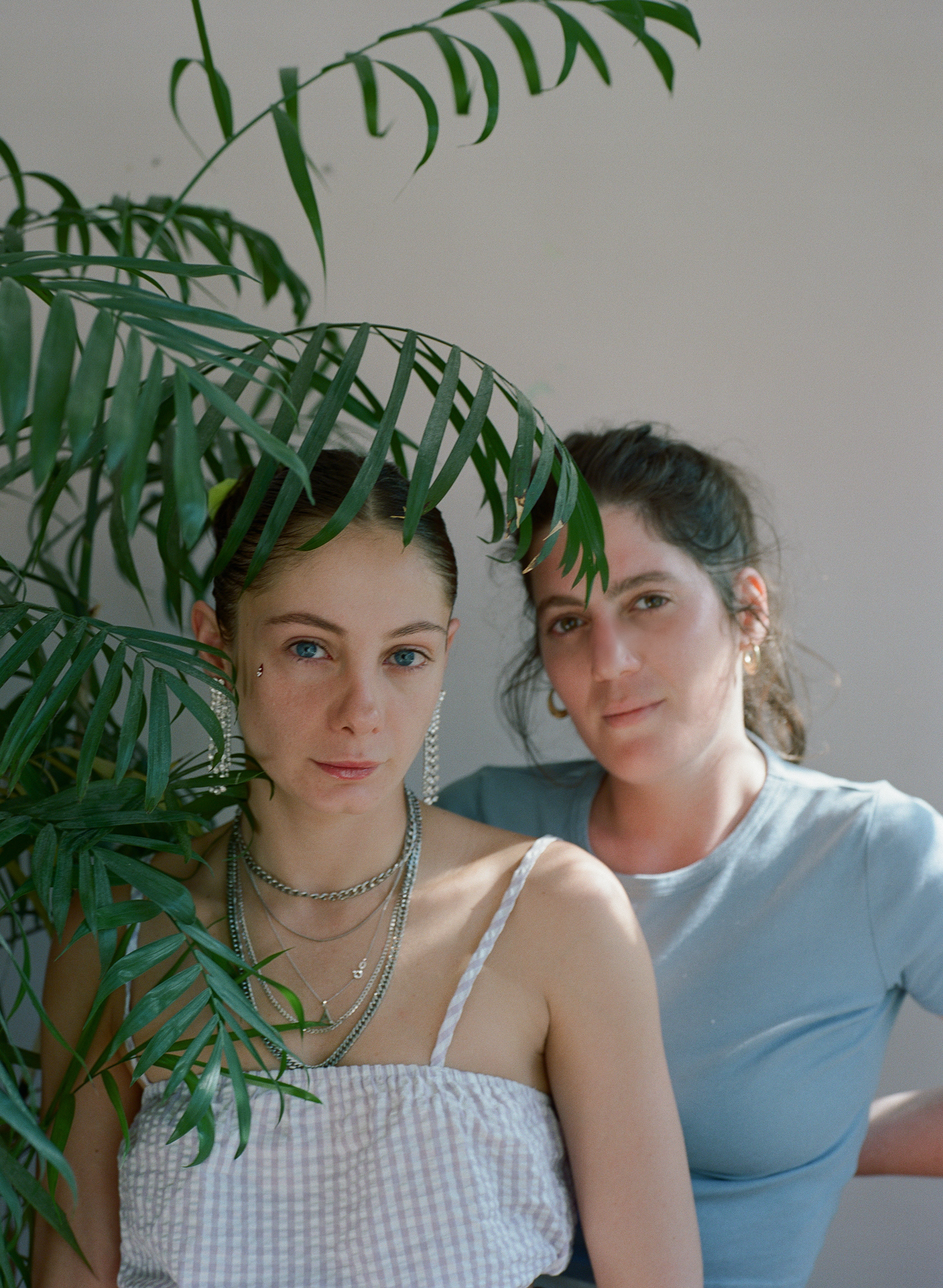 Almog & Tal