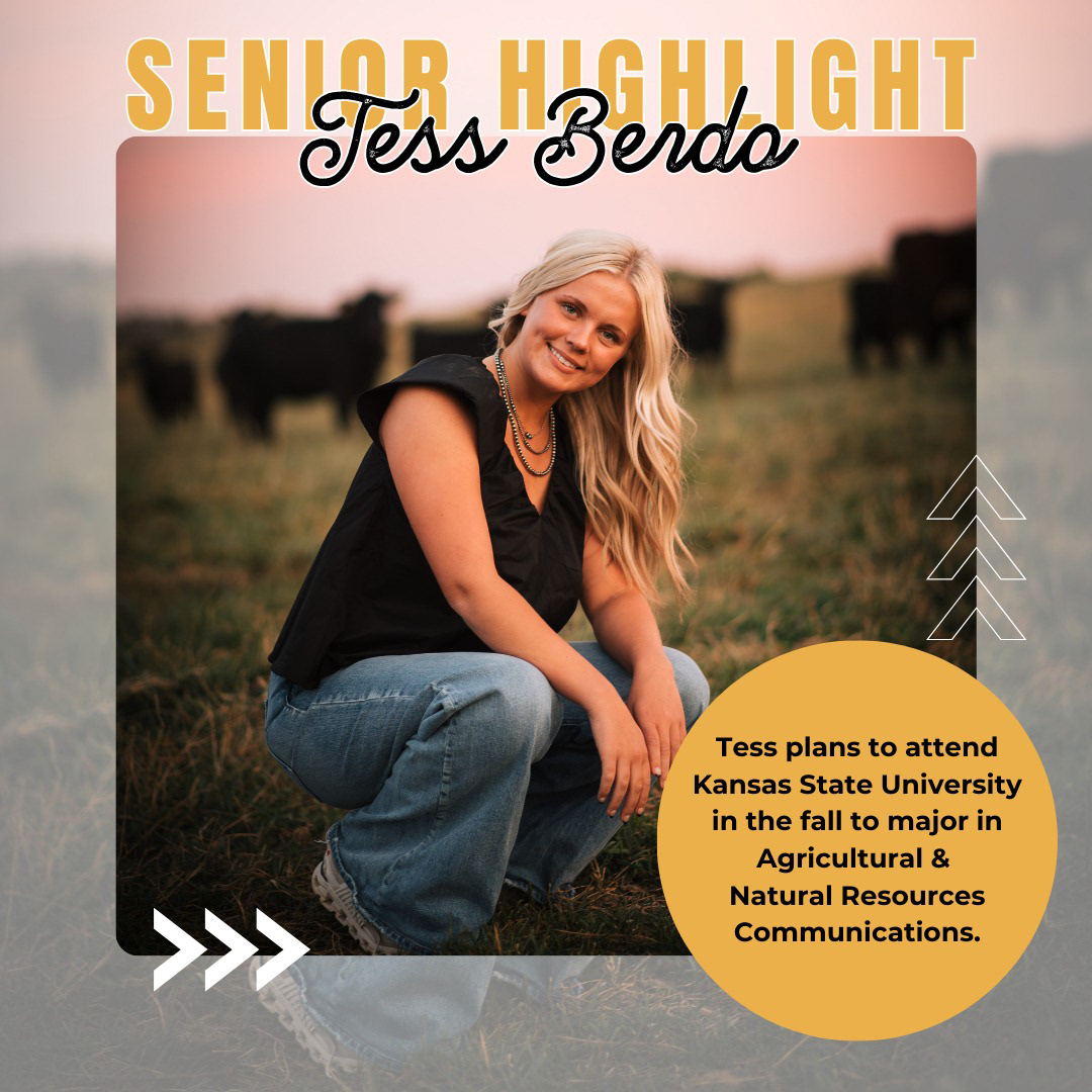 Senior Highlight Post