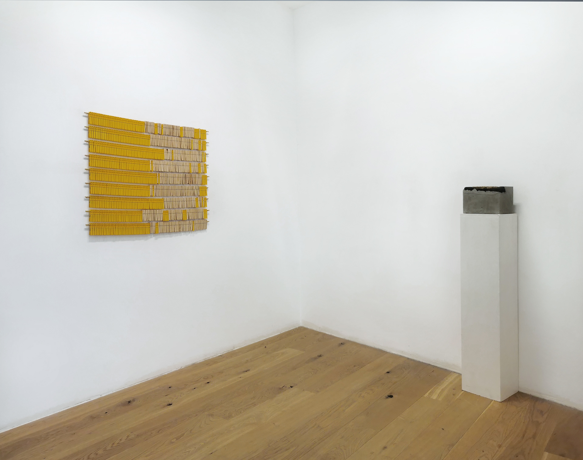 Hybride Heimat Soloshow / Kunstverein Junge Kunst Trier 2022, DE