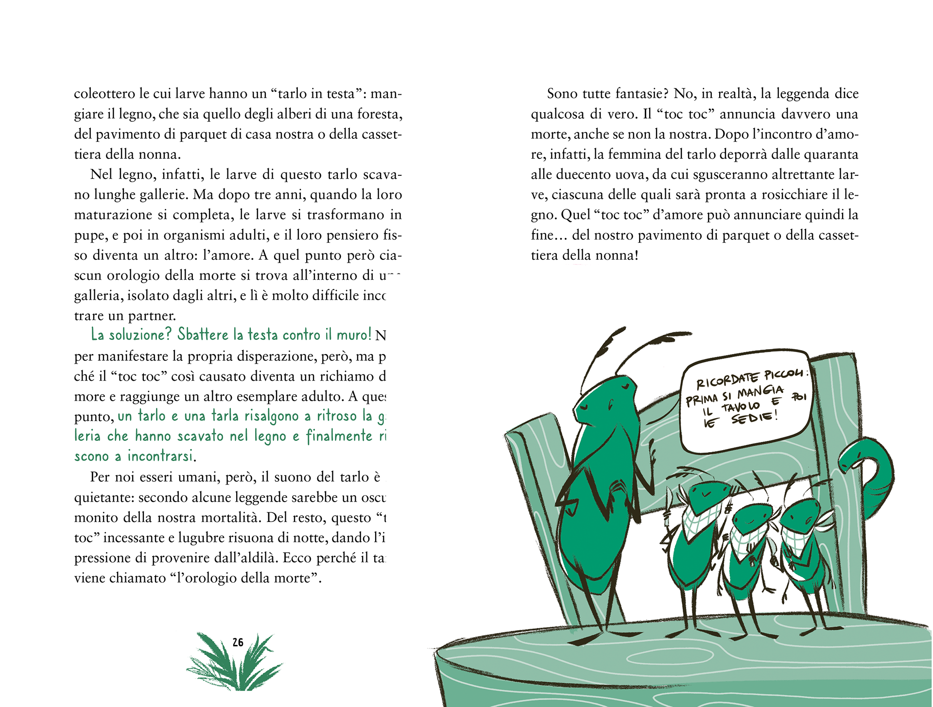 27 Storie di animali strani • Battello a Vapore