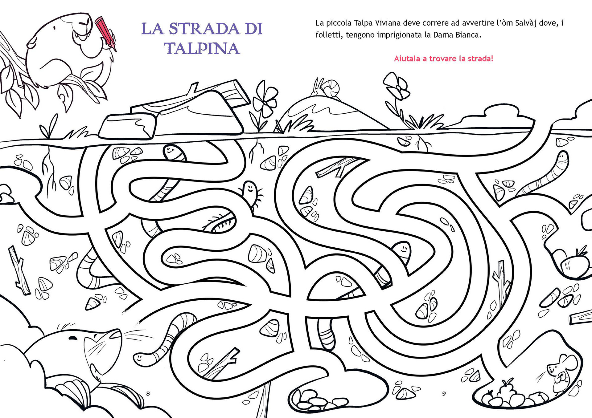 La Dama Bianca del Corno Bianco • activity