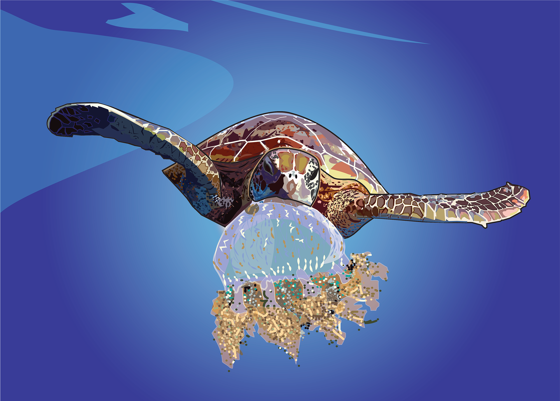Digitally illustrated turtle eating a jellyfish in the Coral Sea, by Anderssen Creative.