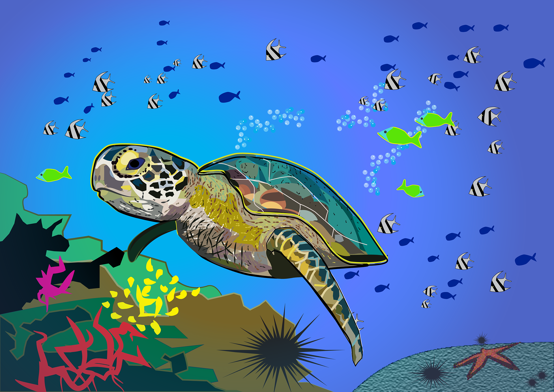 Digitally illustrated turtle and fish on the Great Barrier Reef, by Anderssen Creative.
