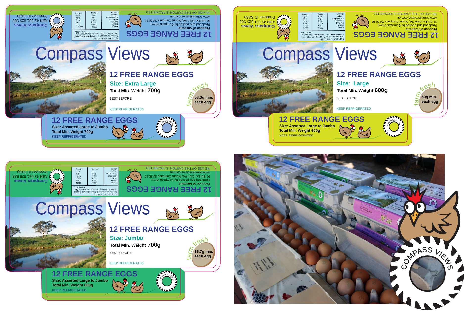 Colour coded egg carton labels, designed by Anderssen Creative.