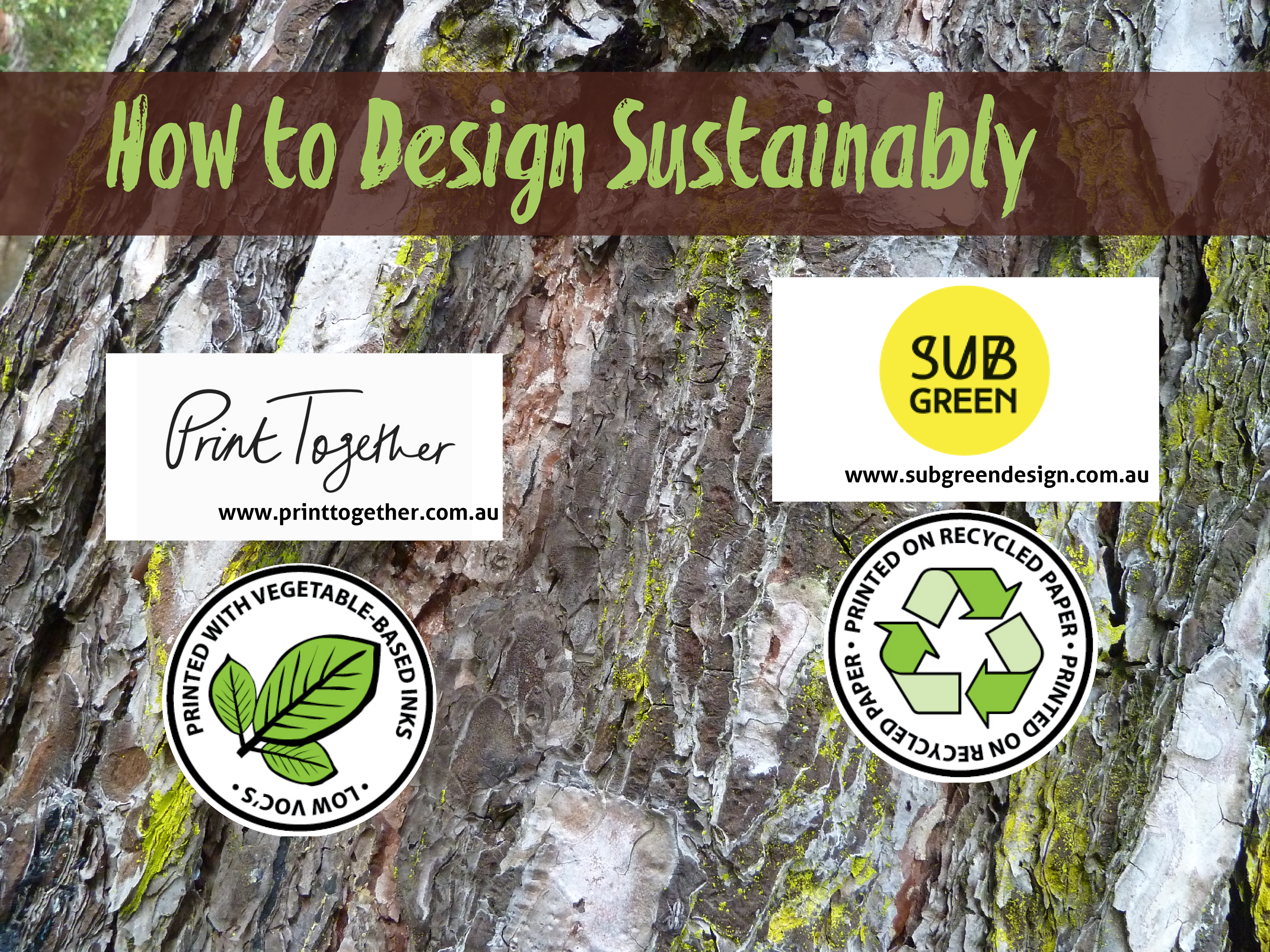 Companies that support sustainable practices, by Anderssen Creative. 