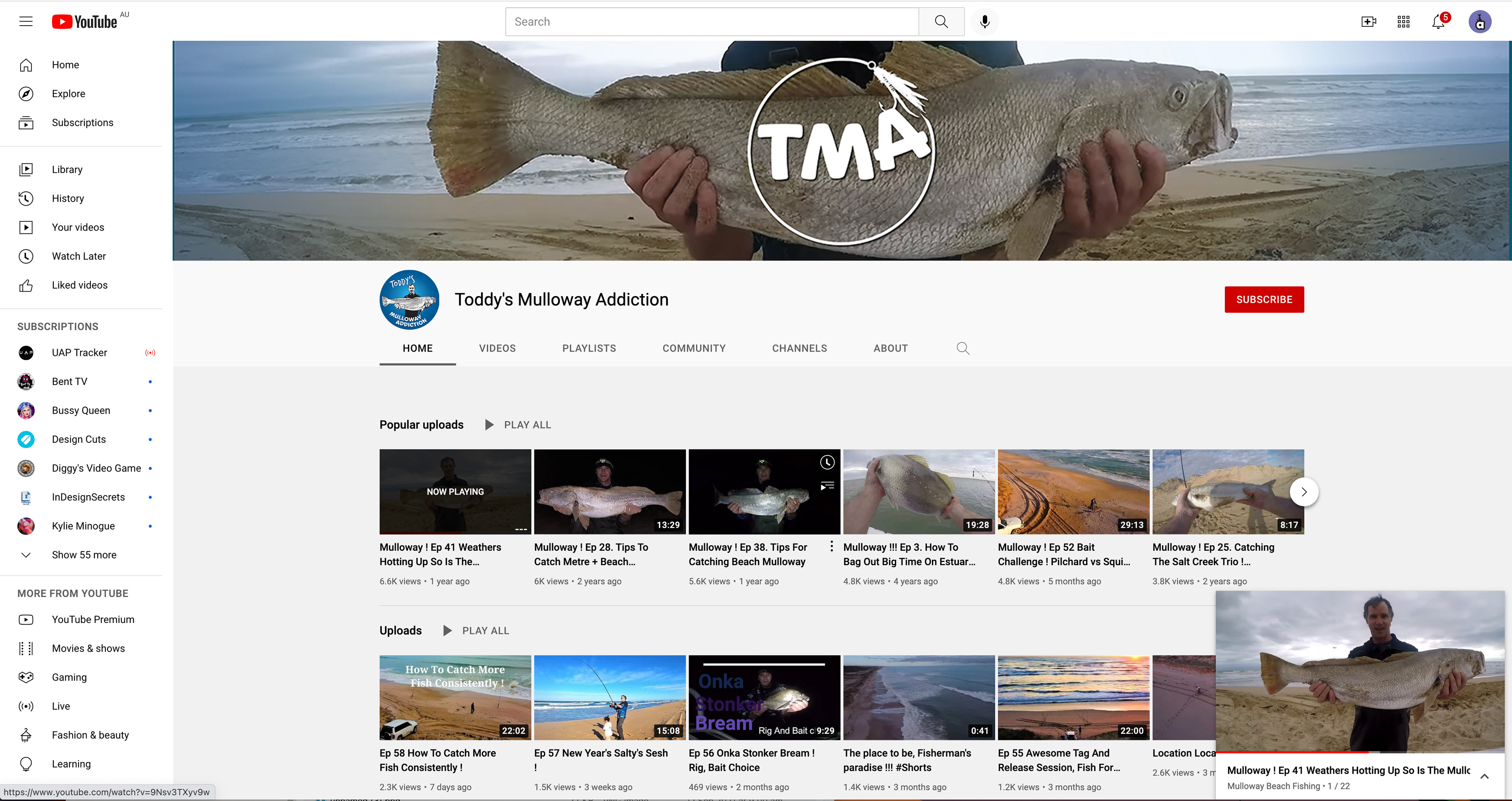 Toddy's Mulloway Addiction YouTube page. Logo depicting catching a big fish..