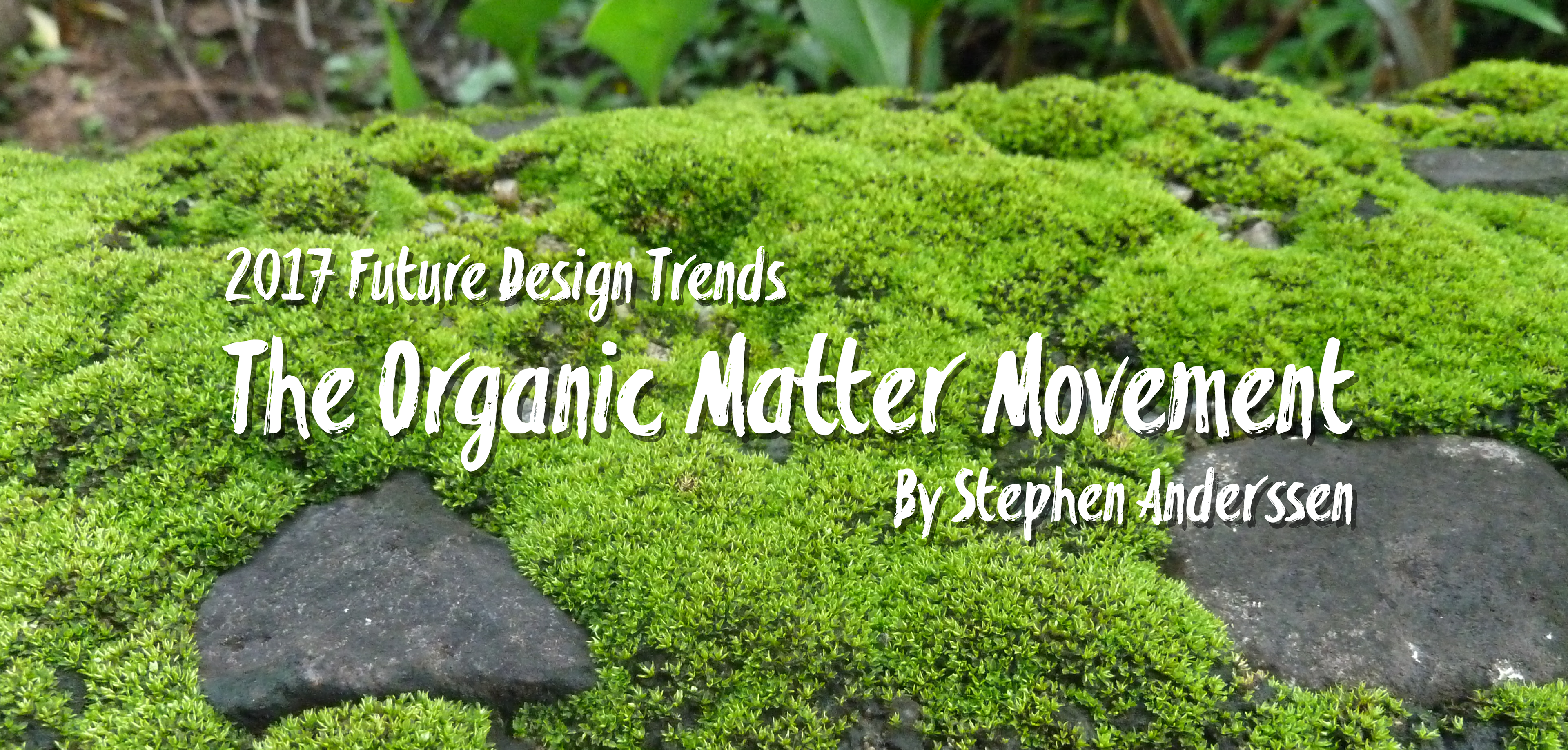 The 2017 Organic Matter Movement presentation cover of mossy rocks, by Anderssen Creative. 