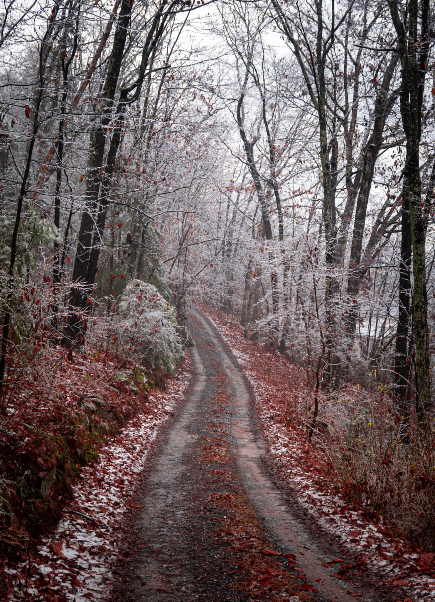 Dayton, Virginia